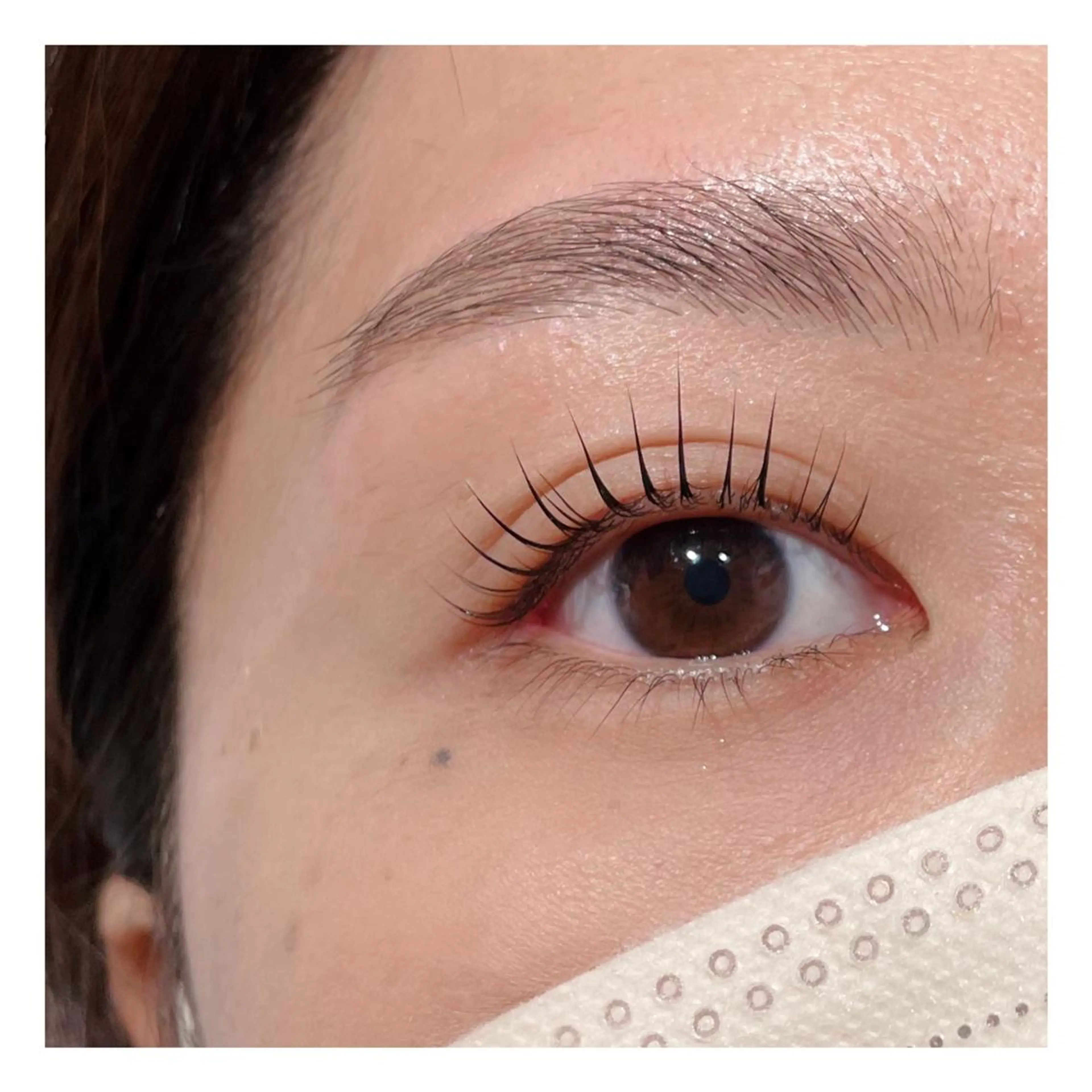 マツエク・マツパ まつげパーマ ワックス脱毛 眉カット その他(アイブロウ) Biolus／天王寺 2号店🌸noa🌸のマツエク・マツパデザイン