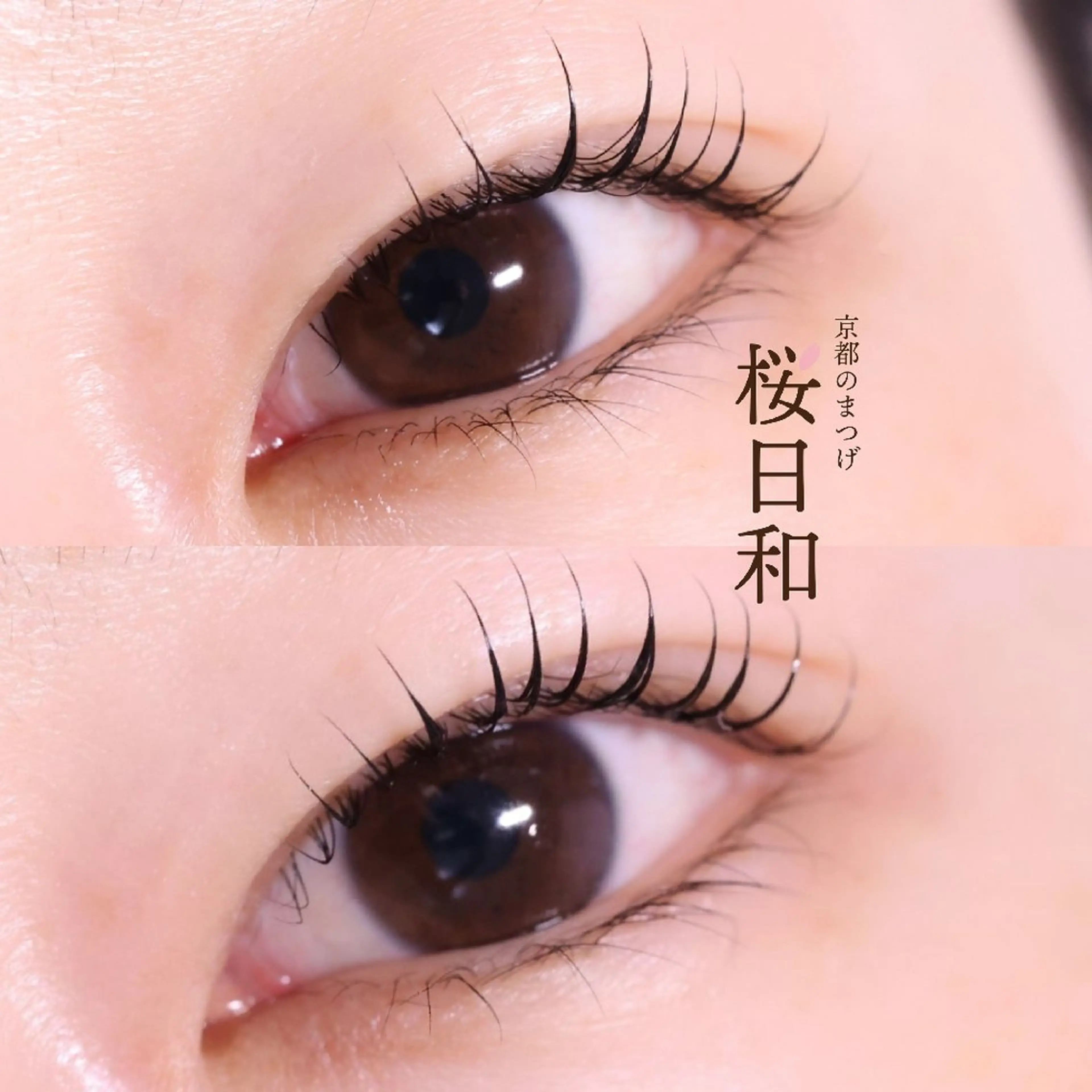 マツエク・マツパ まつげパーマ マツパ 京都のまつげ桜日和 小島美桜のマツエク・マツパデザイン
