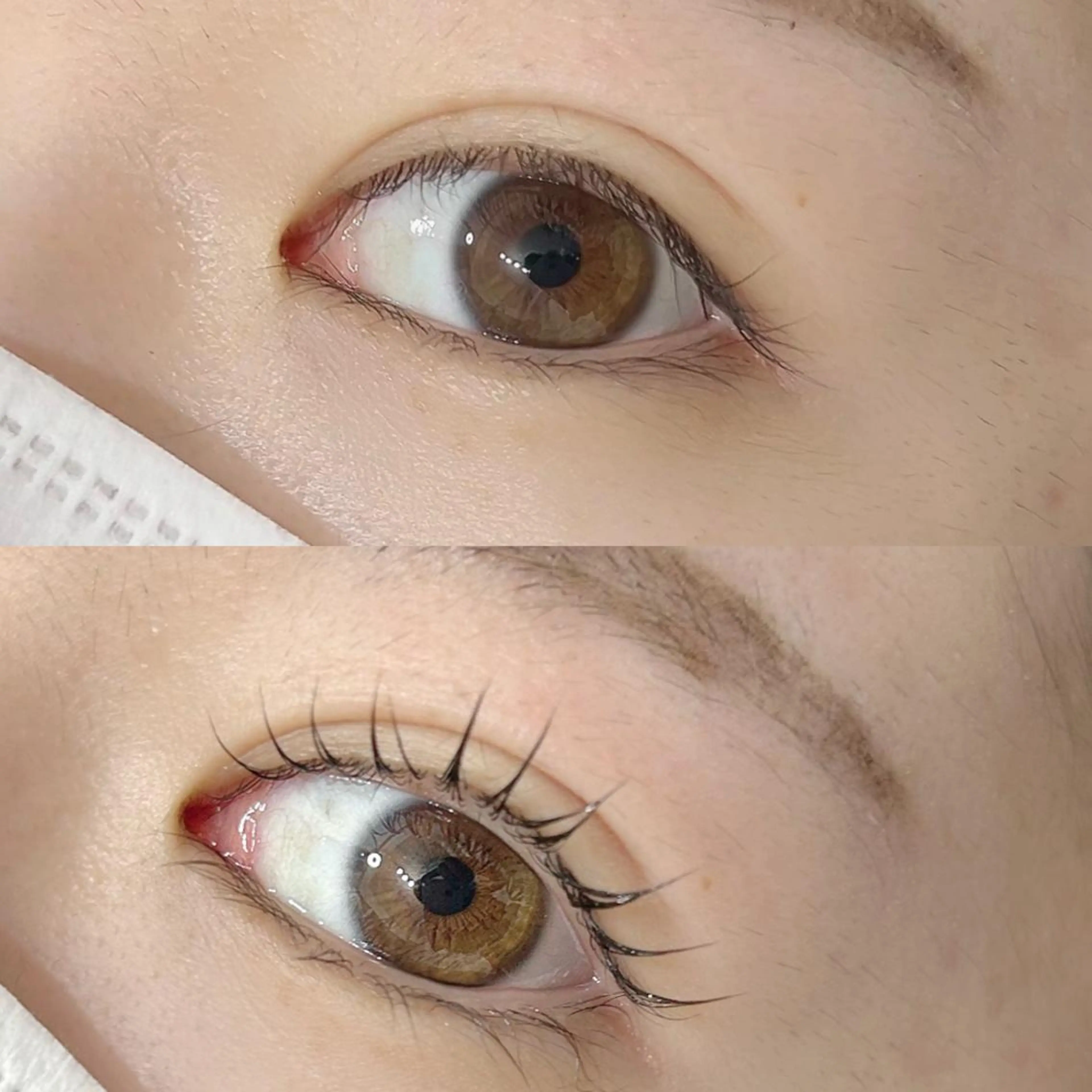 マツエク・マツパ eyelash Aoのマツエク・マツパデザイン