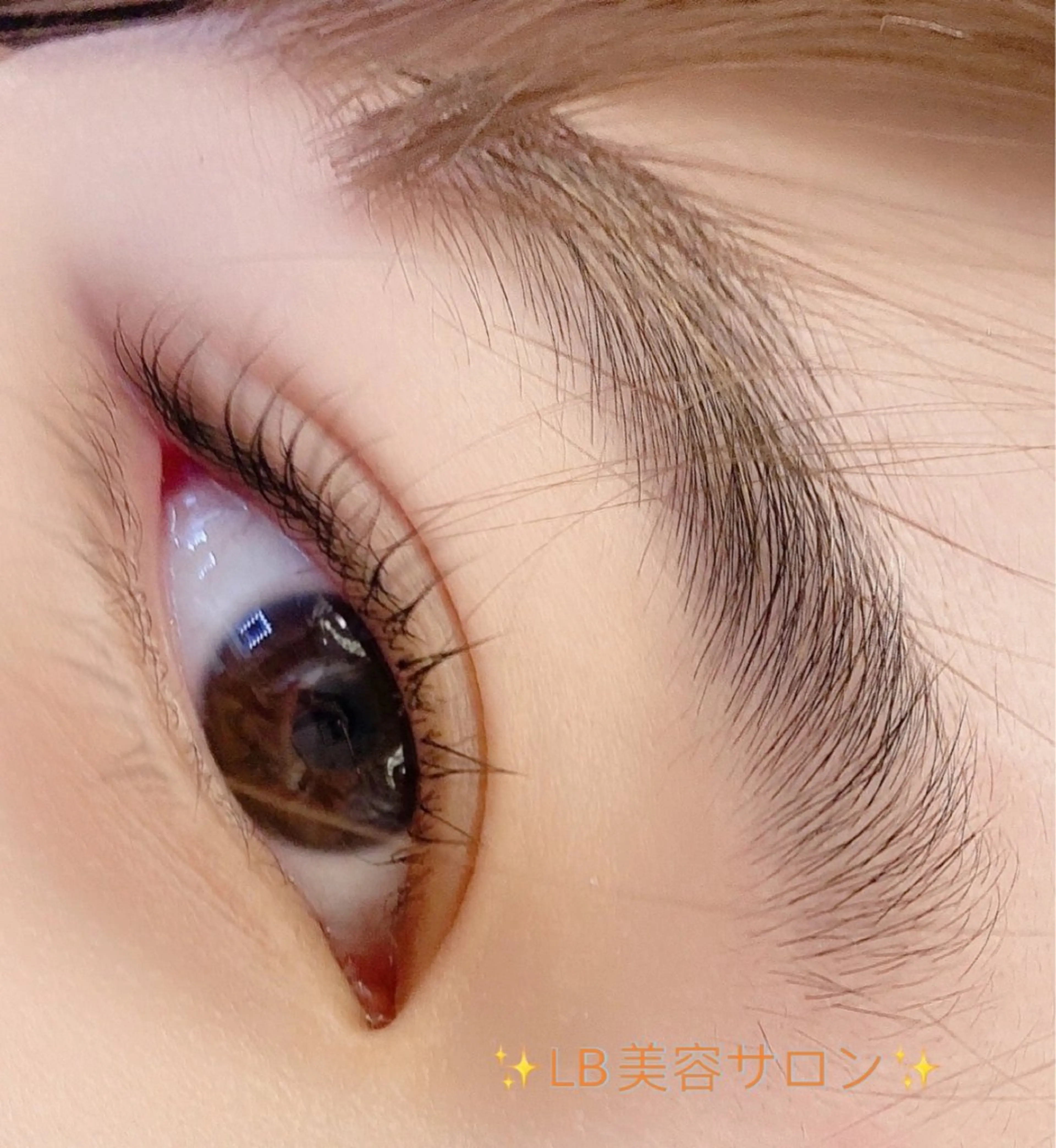 マツエク・マツパ パリジェンヌラッシュリフト LB美容サロン 池袋東口店のマツエク・マツパデザイン