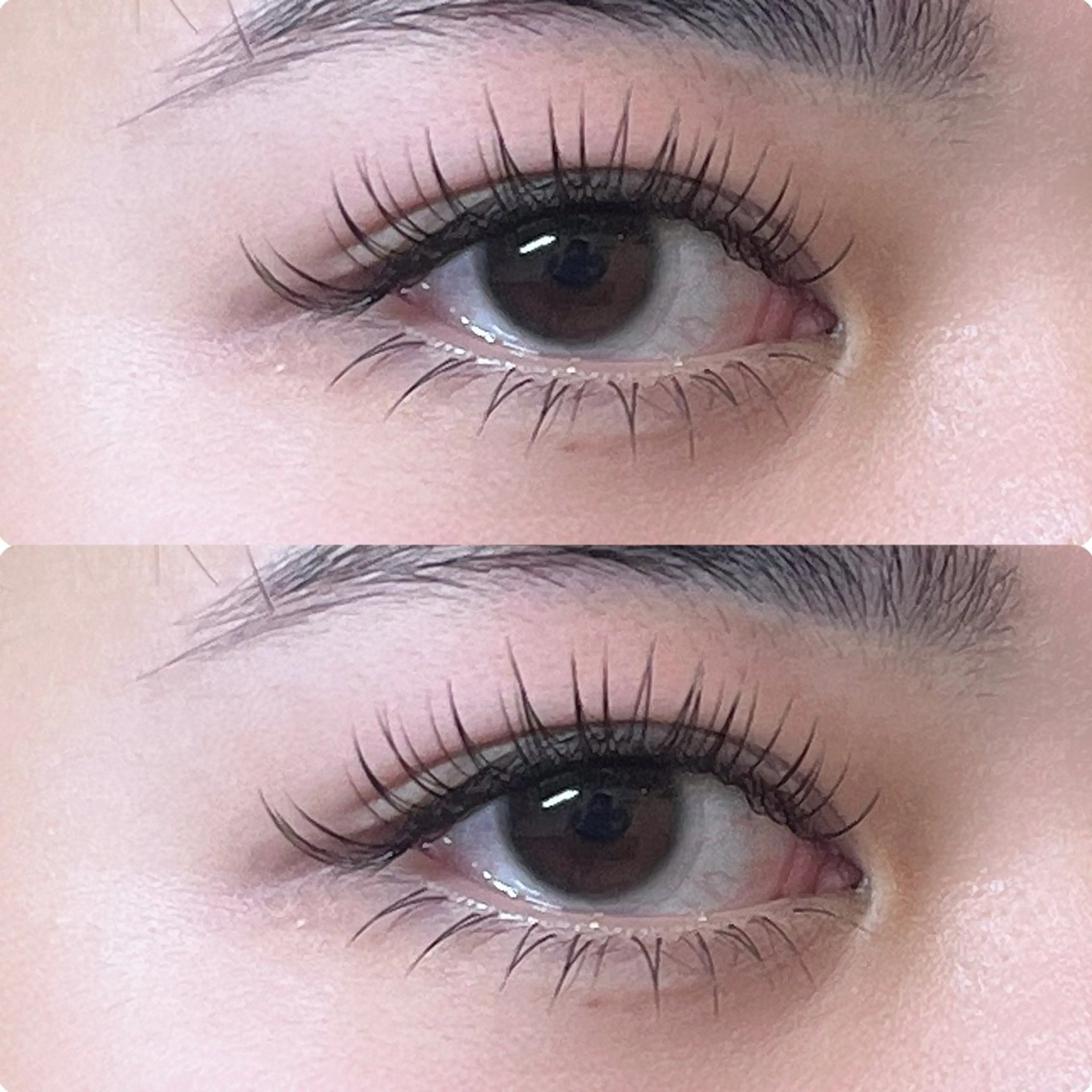 マツエク・マツパ 付け放題 ナチュラル 下まつげエクステ マツエク ROCCO Yukaのマツエク・マツパデザイン