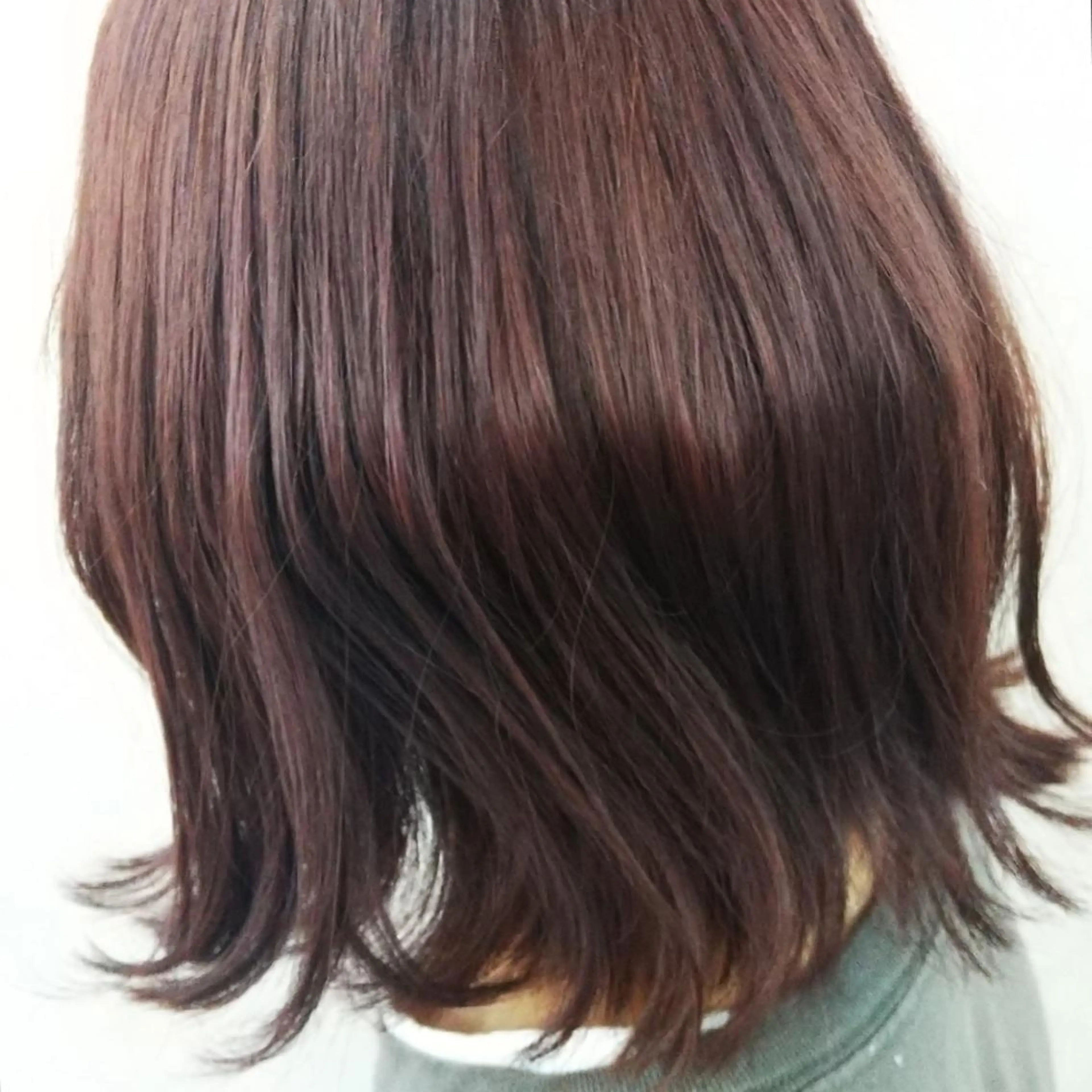 カラー SUMIRE🌿 スミレのマツエク・マツパデザイン