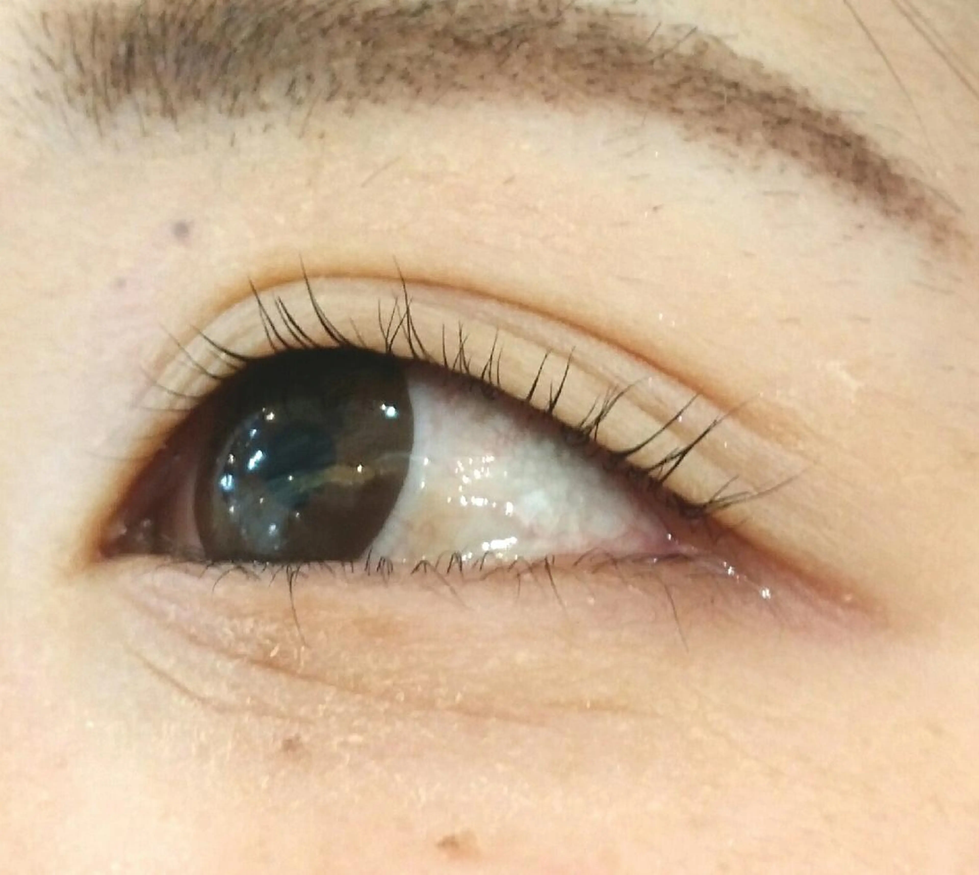 マツエク・マツパ 一重×まつ毛パーマ ClatisseMavie所属・Clatisse Mavieのエステ・リラクイメージ