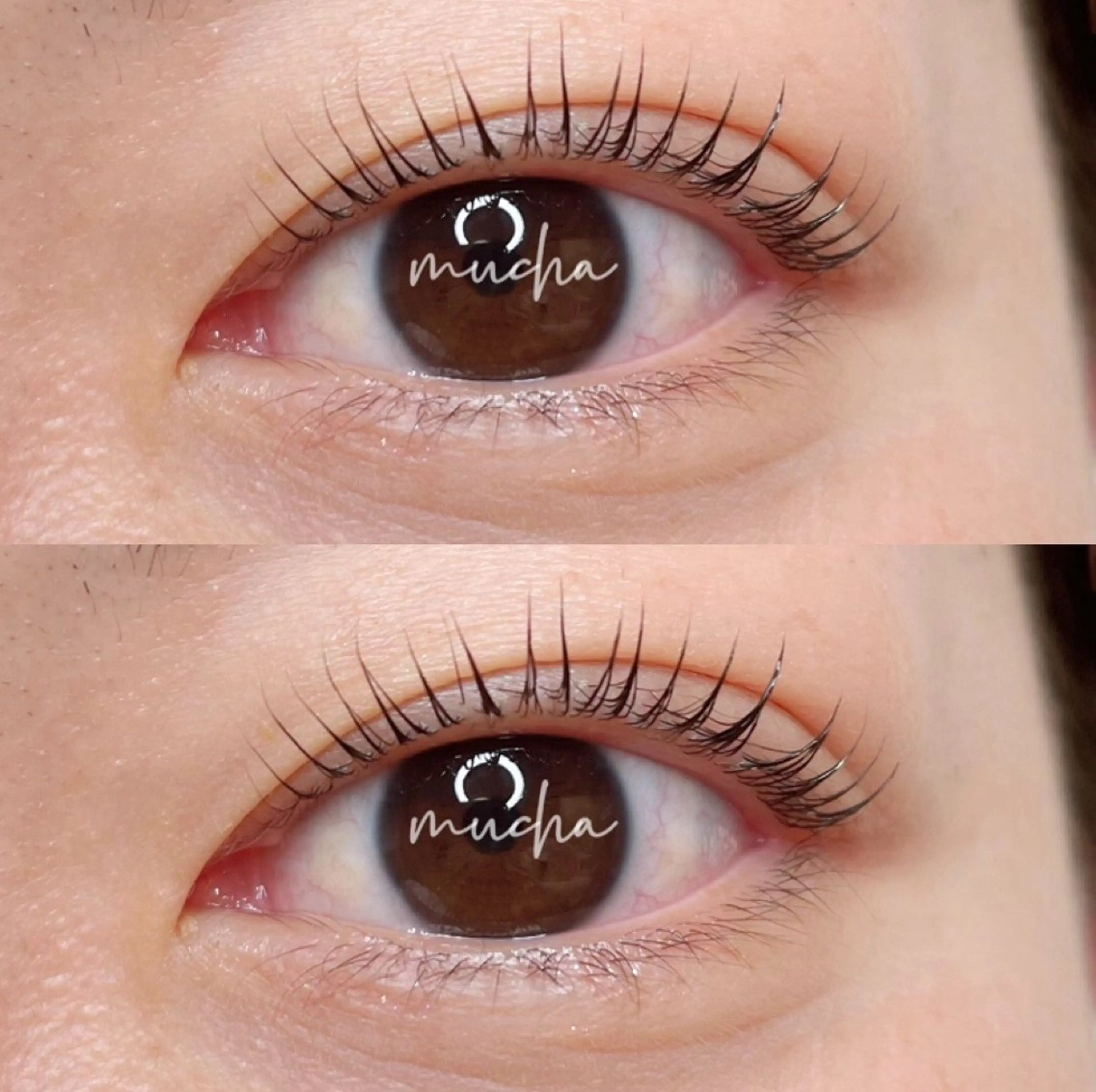 マツエク・マツパ マツパ eyelash muchaのマツエク・マツパデザイン