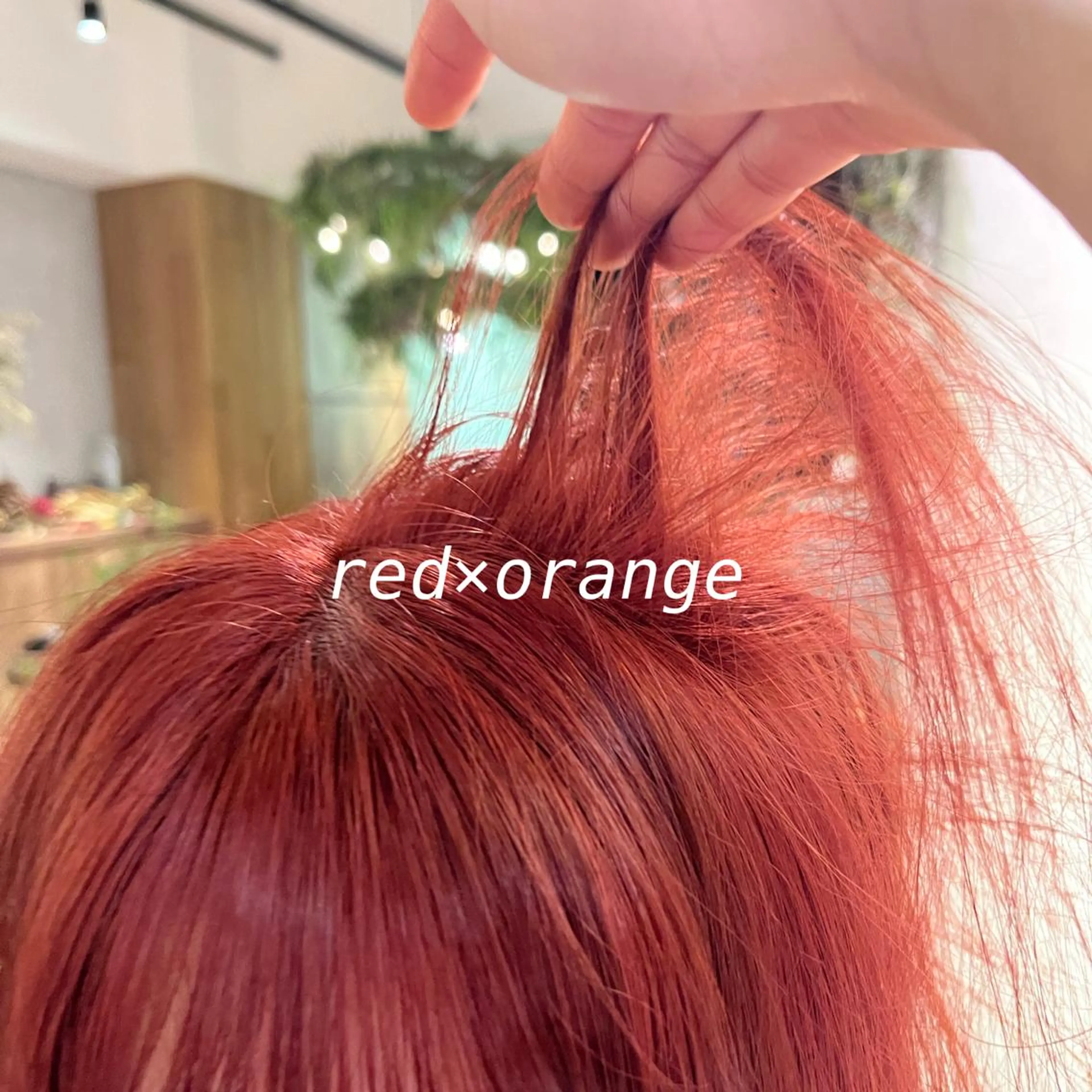 ミディアム December/ jingumae所属・【カットモデル募集】 yuzuのヘアスタイル