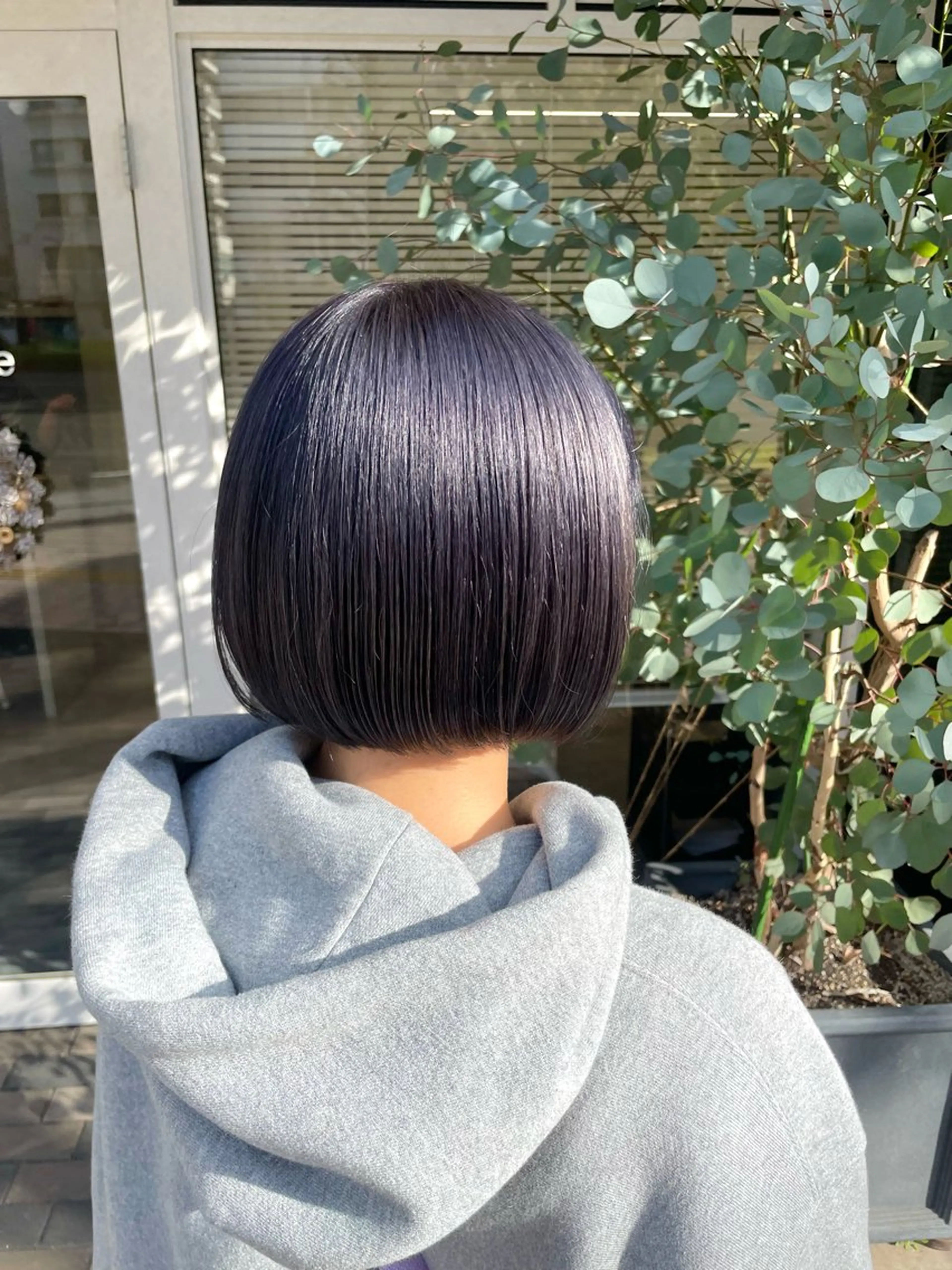 ショート カラー ダブルカラー ラベンダーカラー ラベンダーグレー ボブ 髪質改善🌱 高橋みなみのヘアスタイル