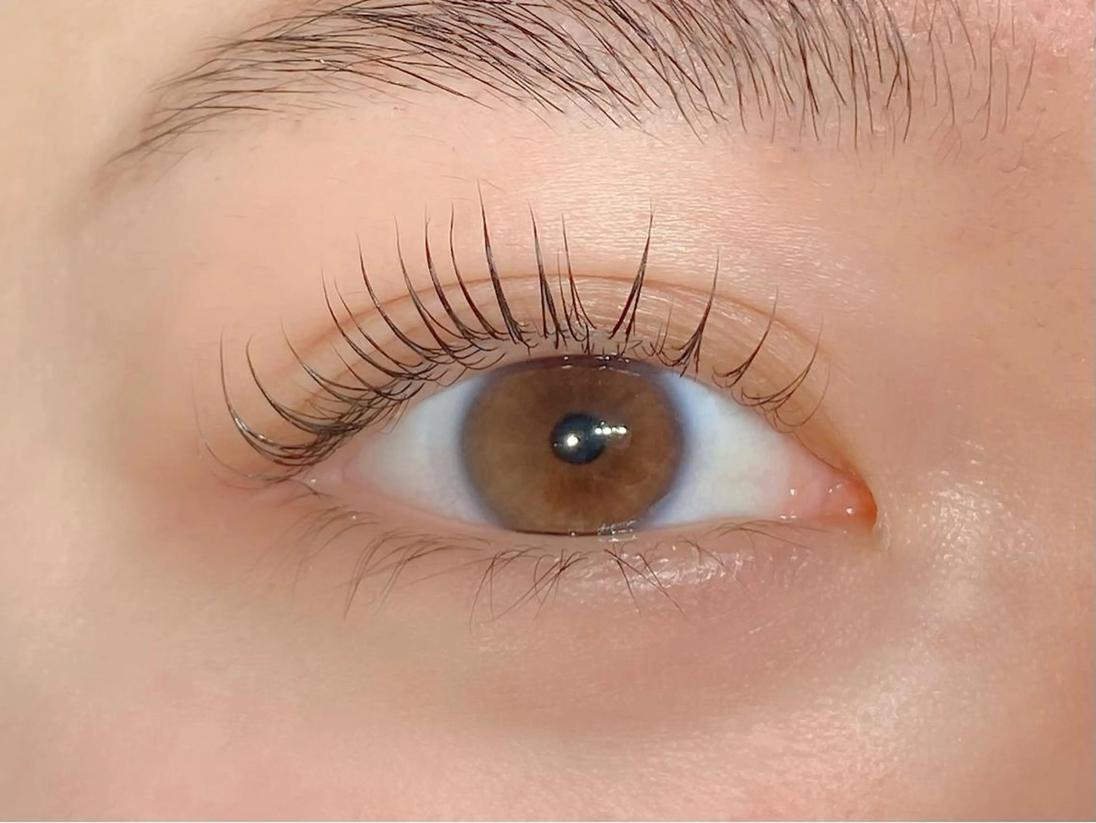 マツエク・マツパ Neo店長🌿 KOTONO🌿のマツエク・マツパデザイン