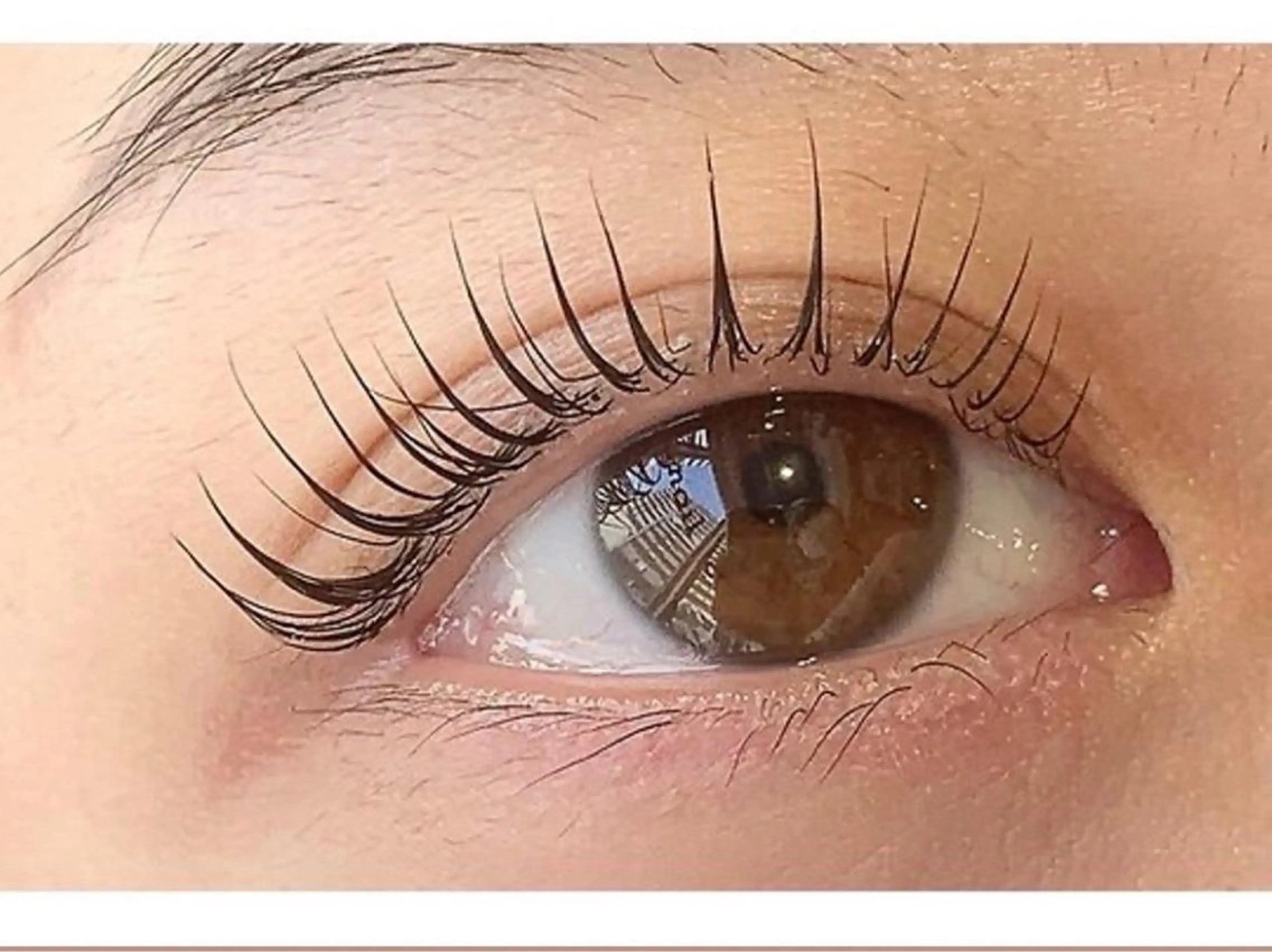 🫧 ２回目 🫧 似合わせまつげパーマ🩵上のみ （まつげ/パーマ）［亀戸］の写真