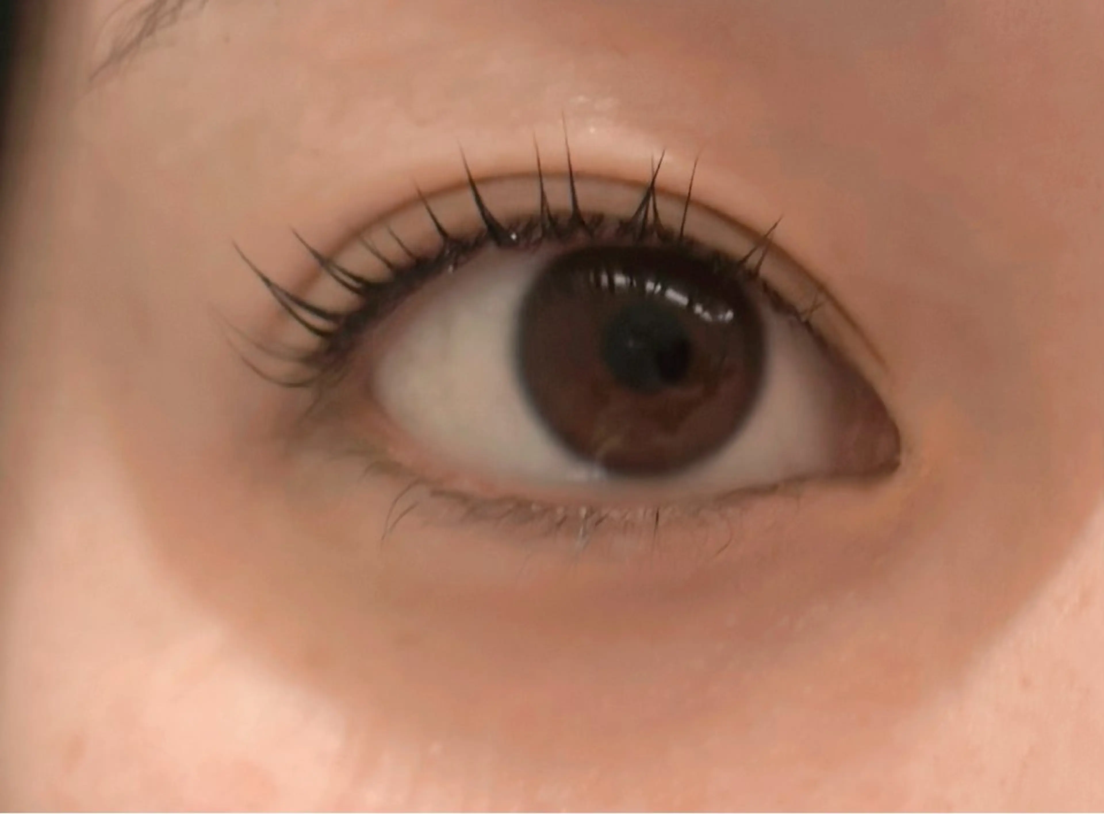 マツエク・マツパ 韓国風マツエク ドーリーラッシュ所属・ドーリーラッシュ 内田のマツエク・マツパデザイン