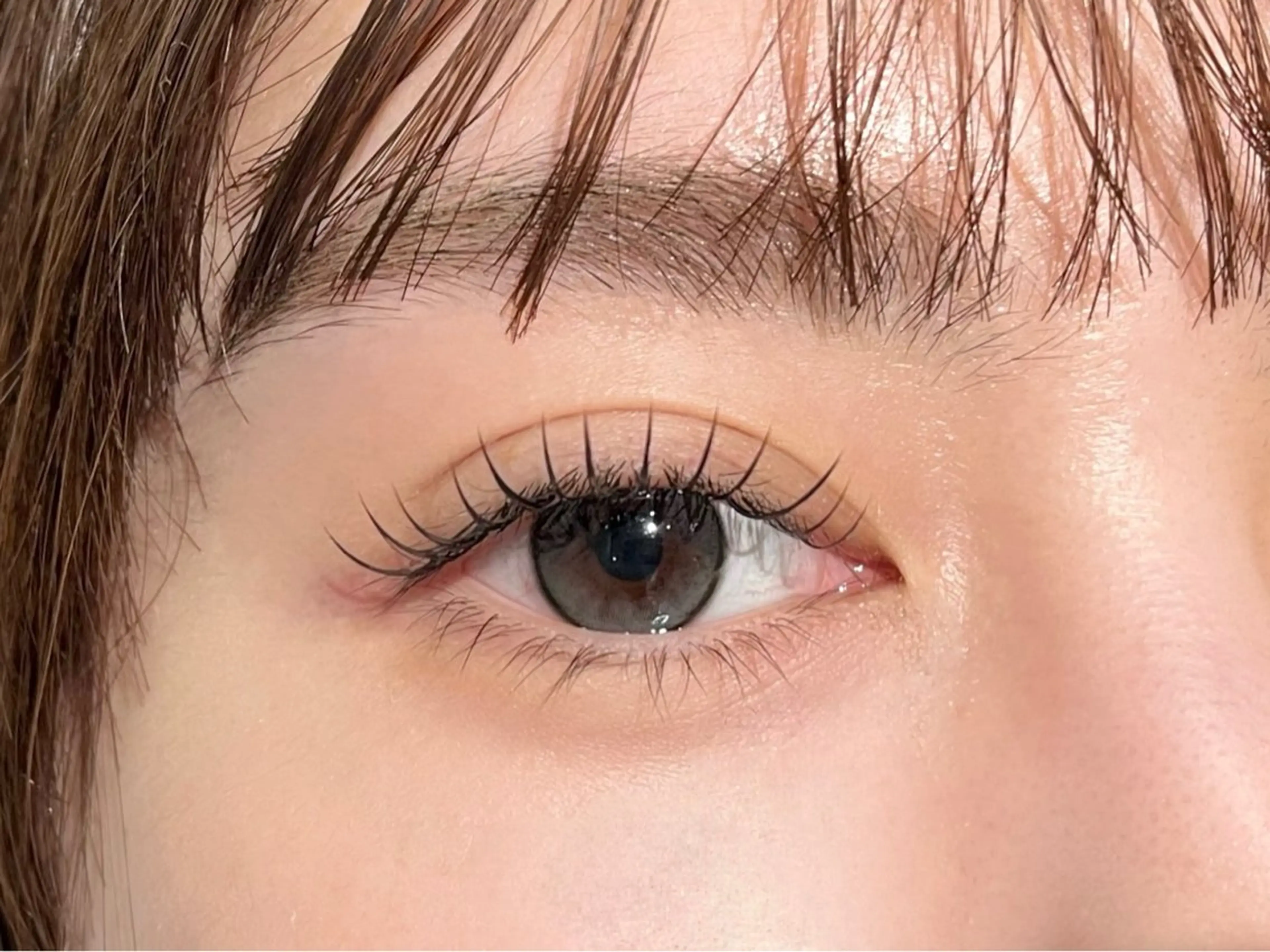 U24限定！🍀フラットラッシュorカラーエクステ　120本まで🍀(24歳までの方限定です。二重の方大募集中です！！！の写真