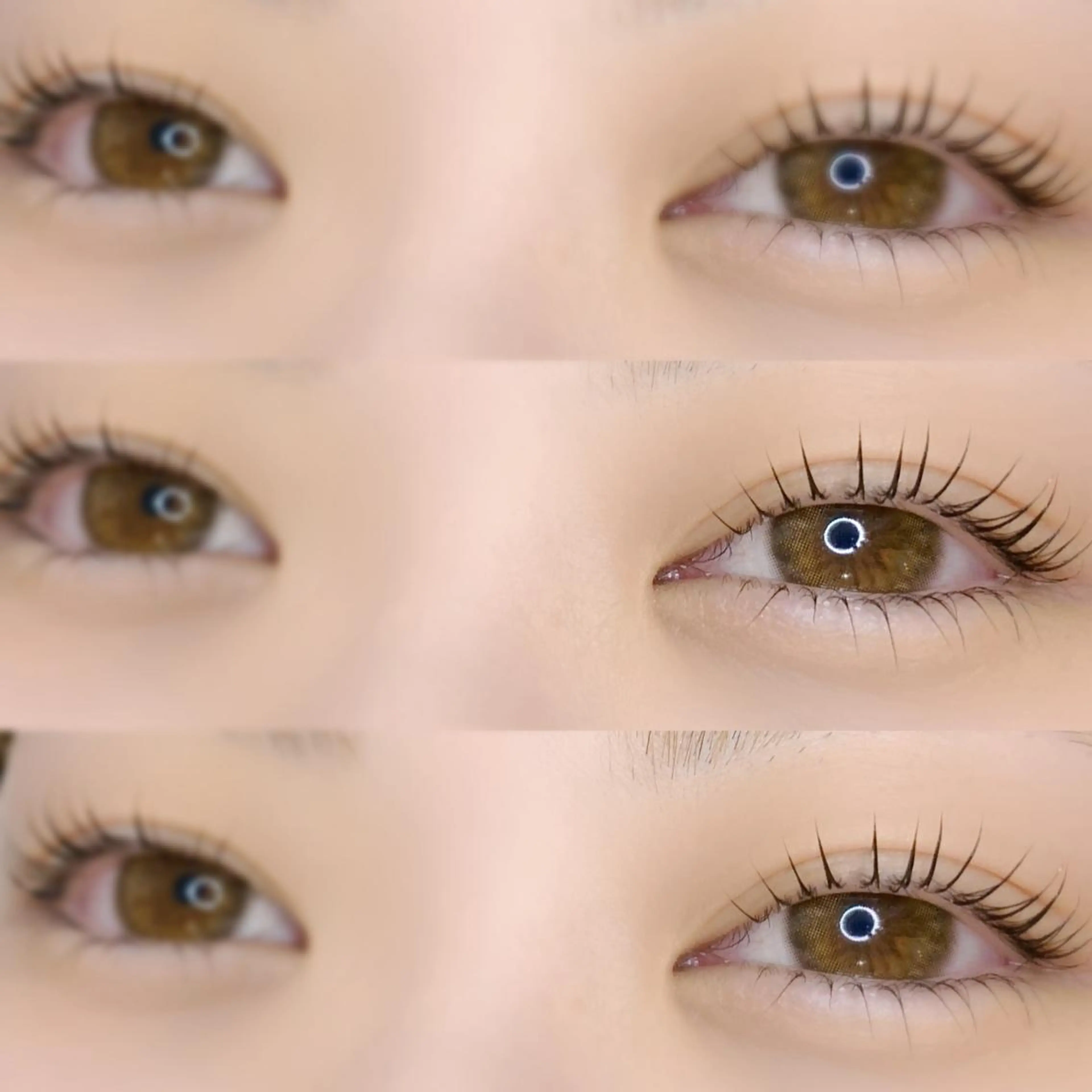 【新規】まつげパーマ上➕コーティング¥3,980の写真