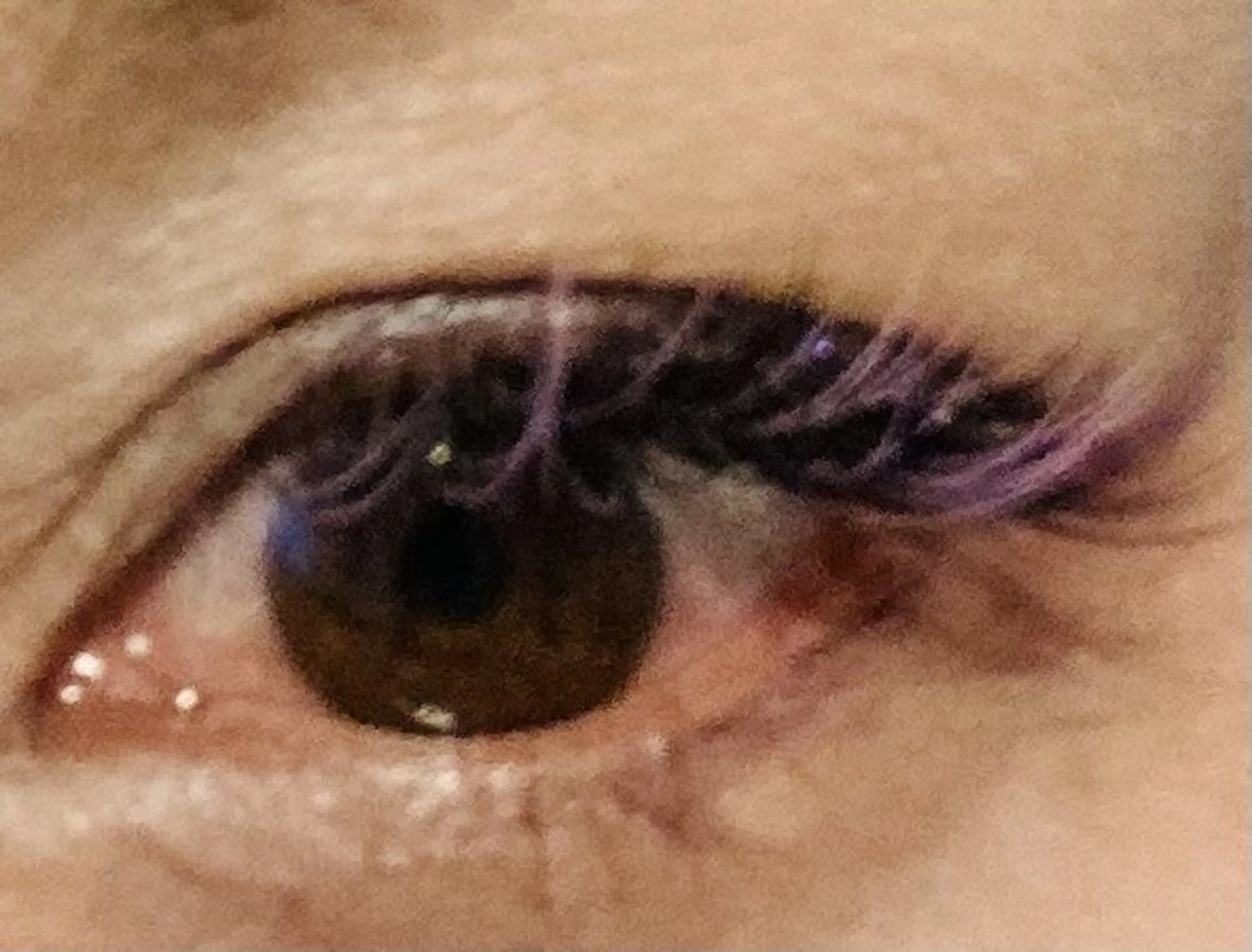 マツエク・マツパ マツエク CoCo Charm所属・CoCo  Charmのマツエク・マツパデザイン