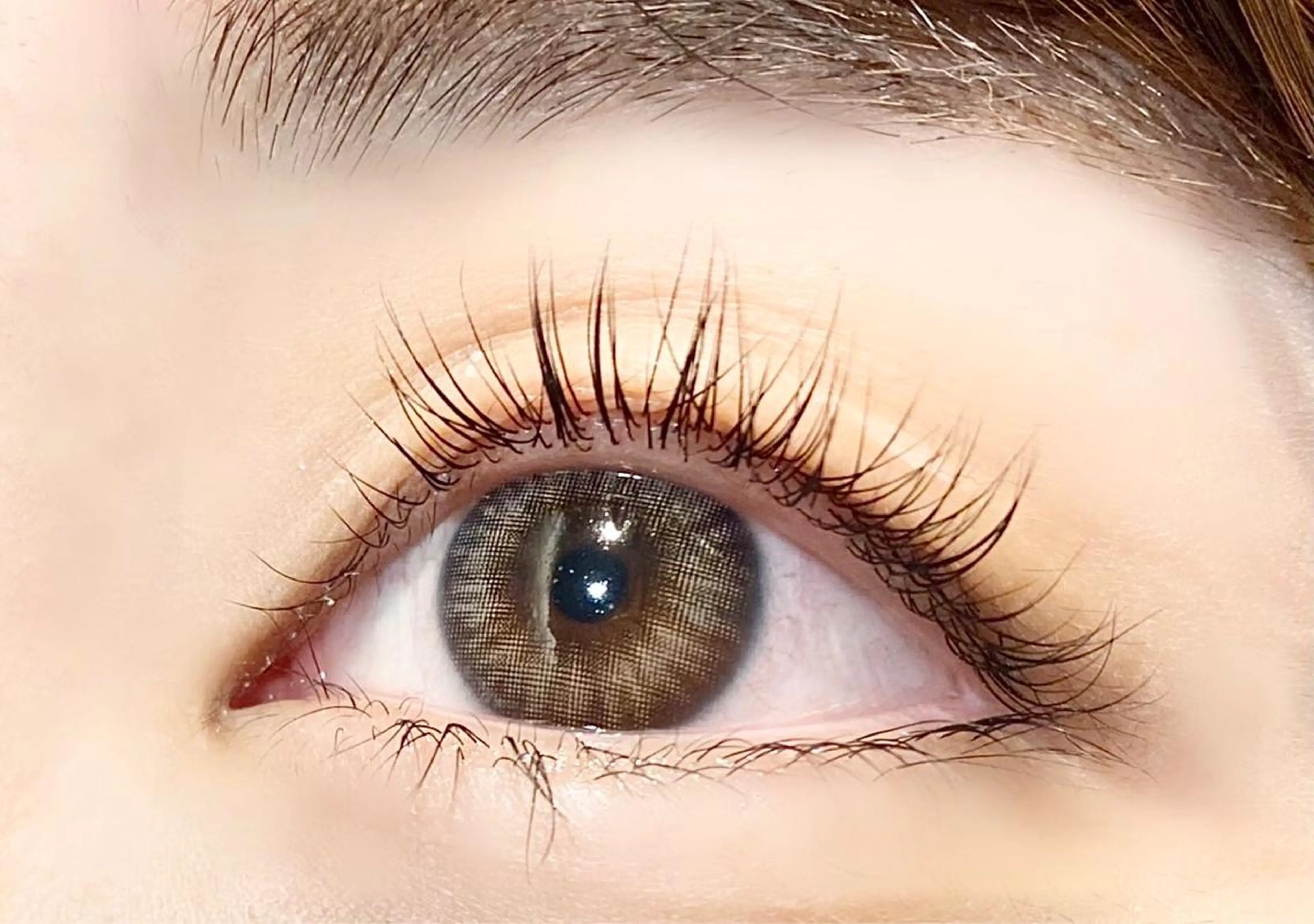 まつ毛パーマチケット（回数券）をお持ちの方✨の写真