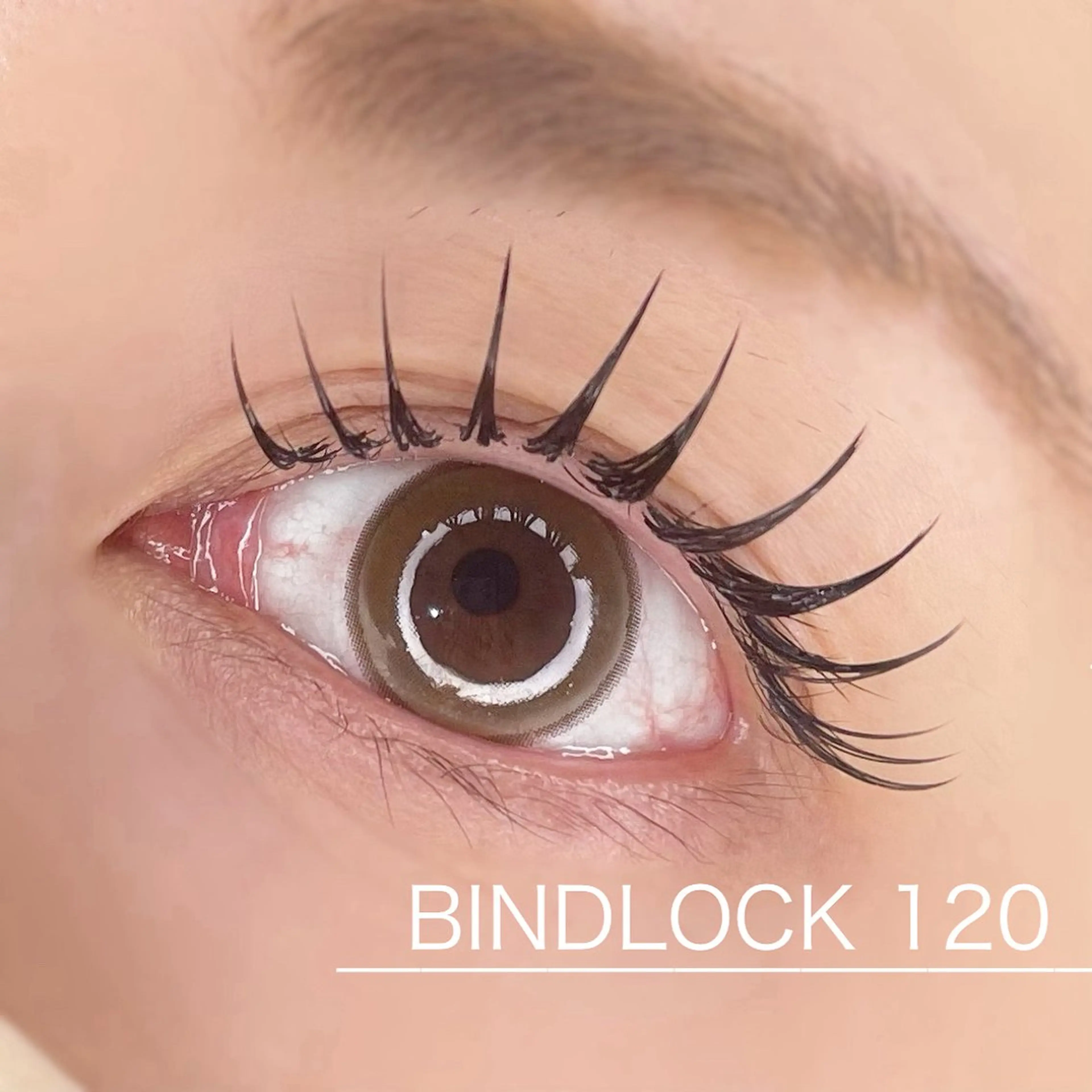 バインドロック 80束まで🌿の写真