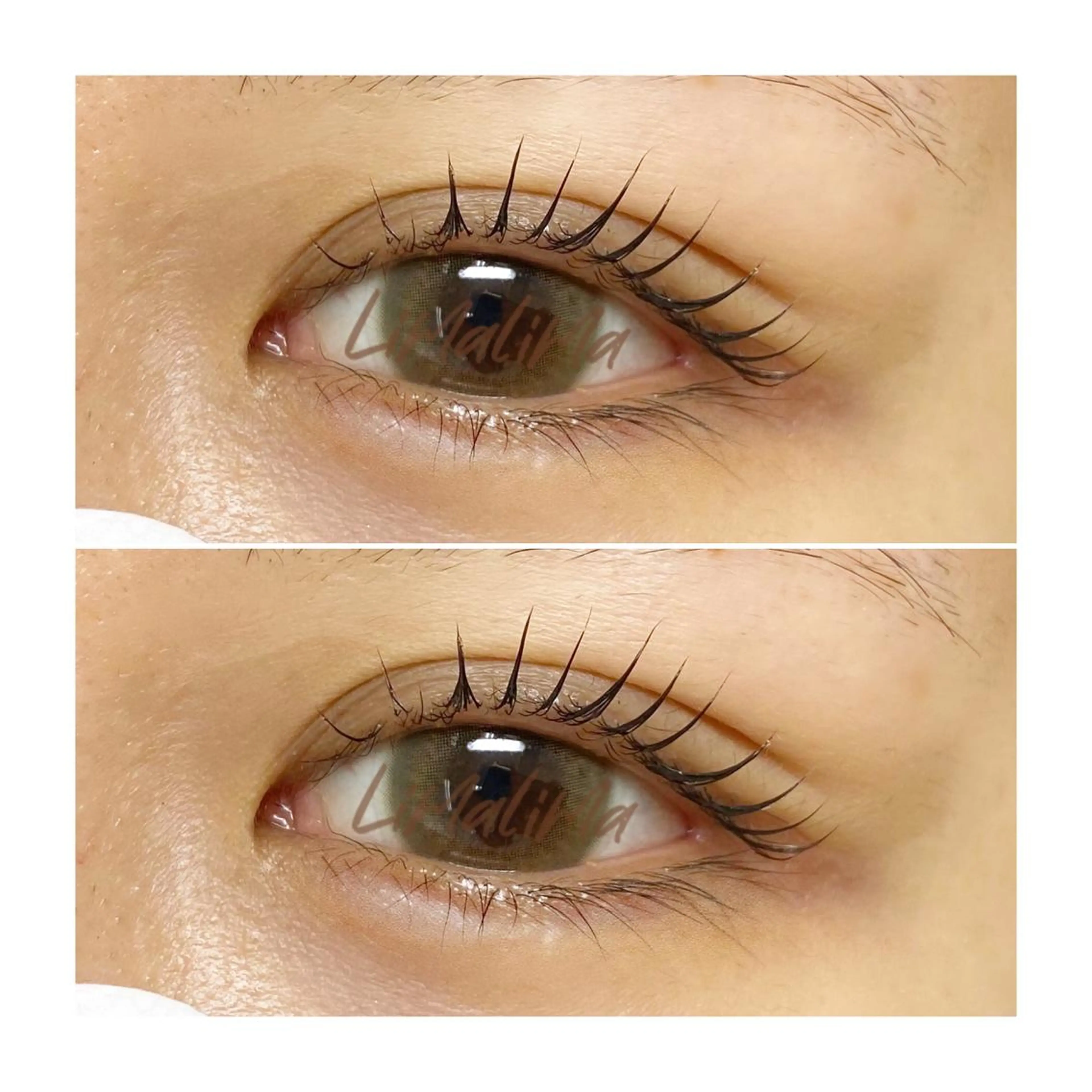 マツエク・マツパ 一重×まつ毛パーマ Limalima所属・まつ毛と眉毛の専門店 Limalima🌿のマツエク・マツパデザイン