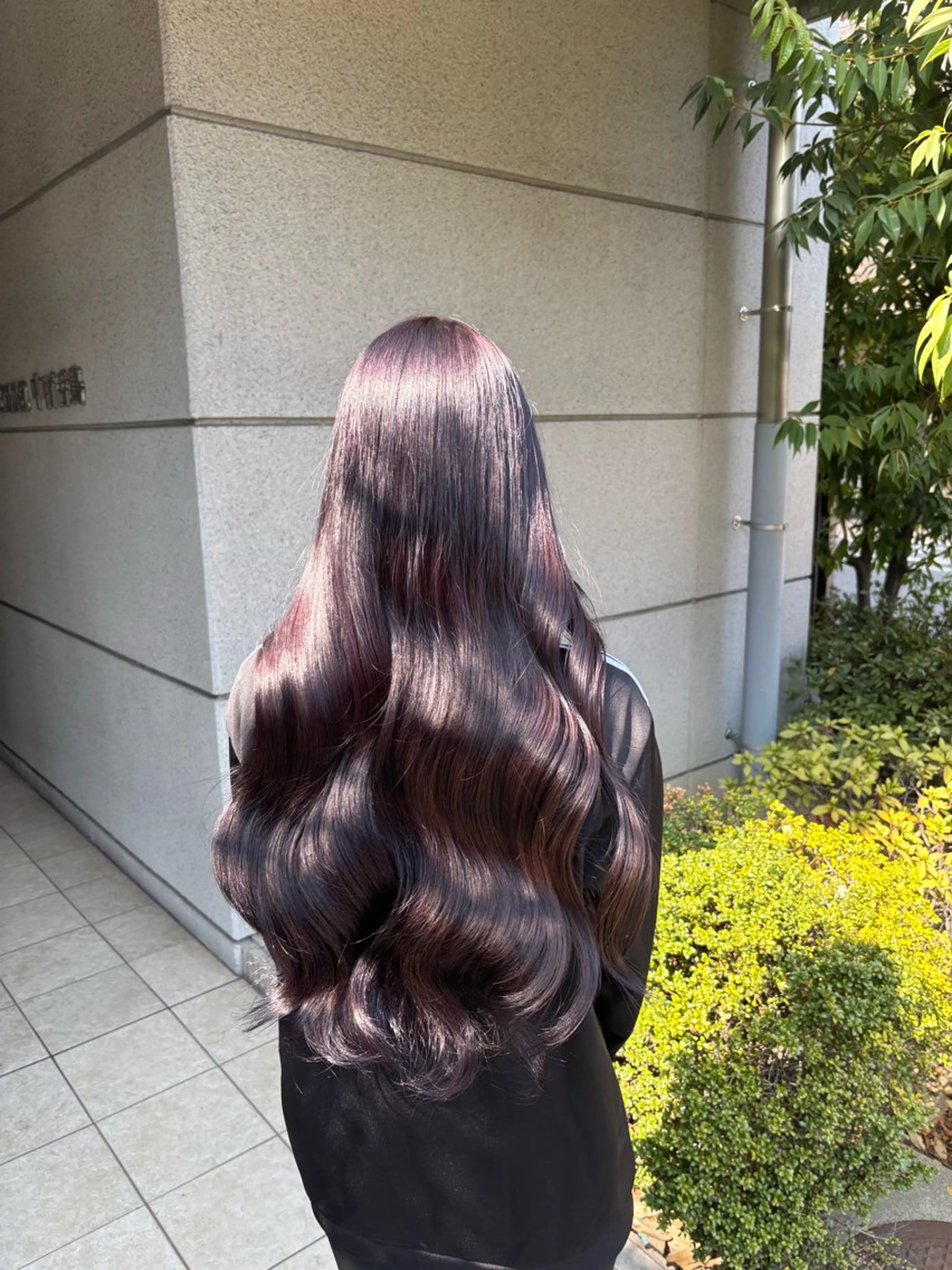 ロング カラー ブリーチ ブラウンカラー ダブルカラー ブリーチなしカラー パープルカラー ヘアカラー ハイトーン/透明感 カラー/下出有沙のヘアスタイル