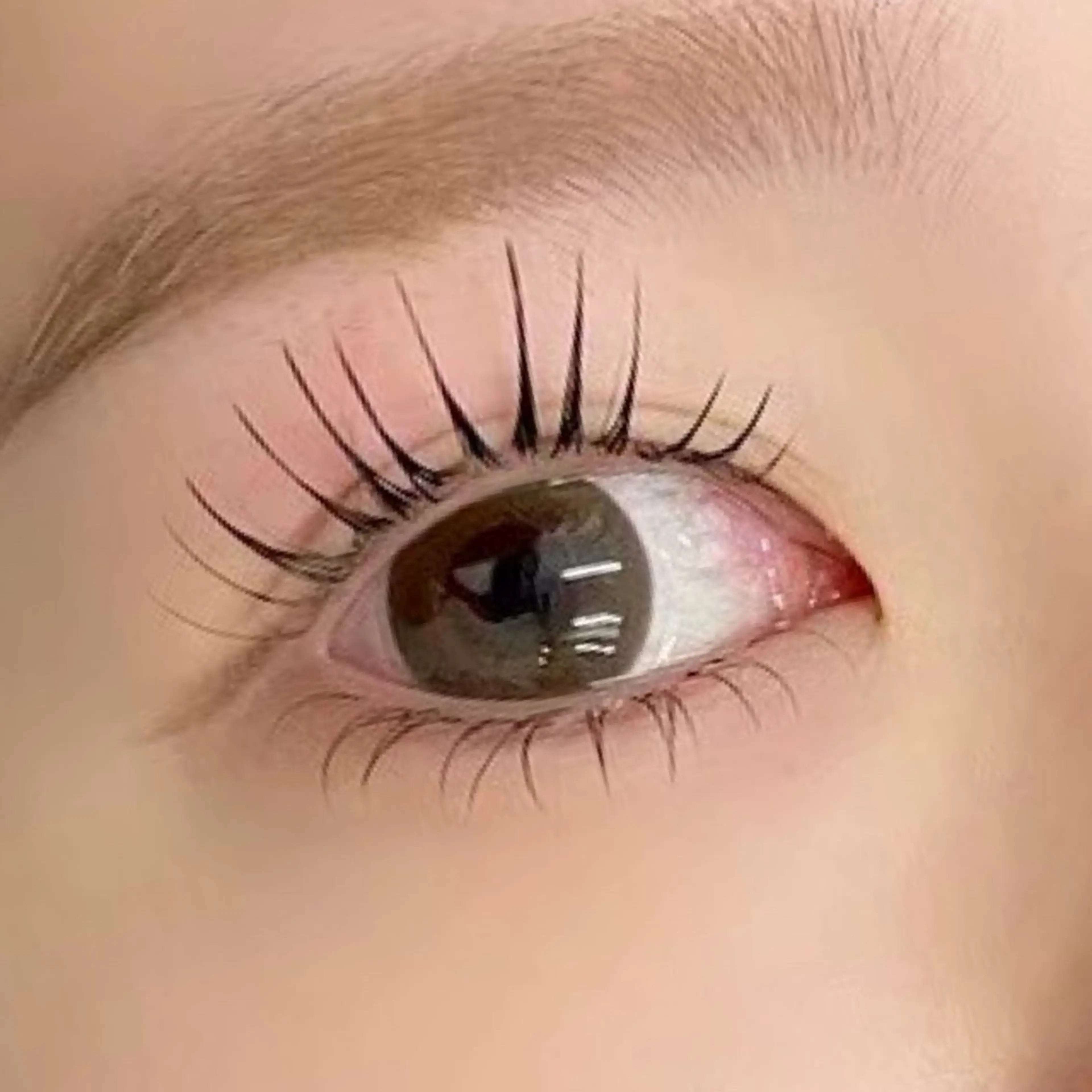 マツエク・マツパ ジュエル.《まつげ》 モデル様募集中のマツエク・マツパデザイン