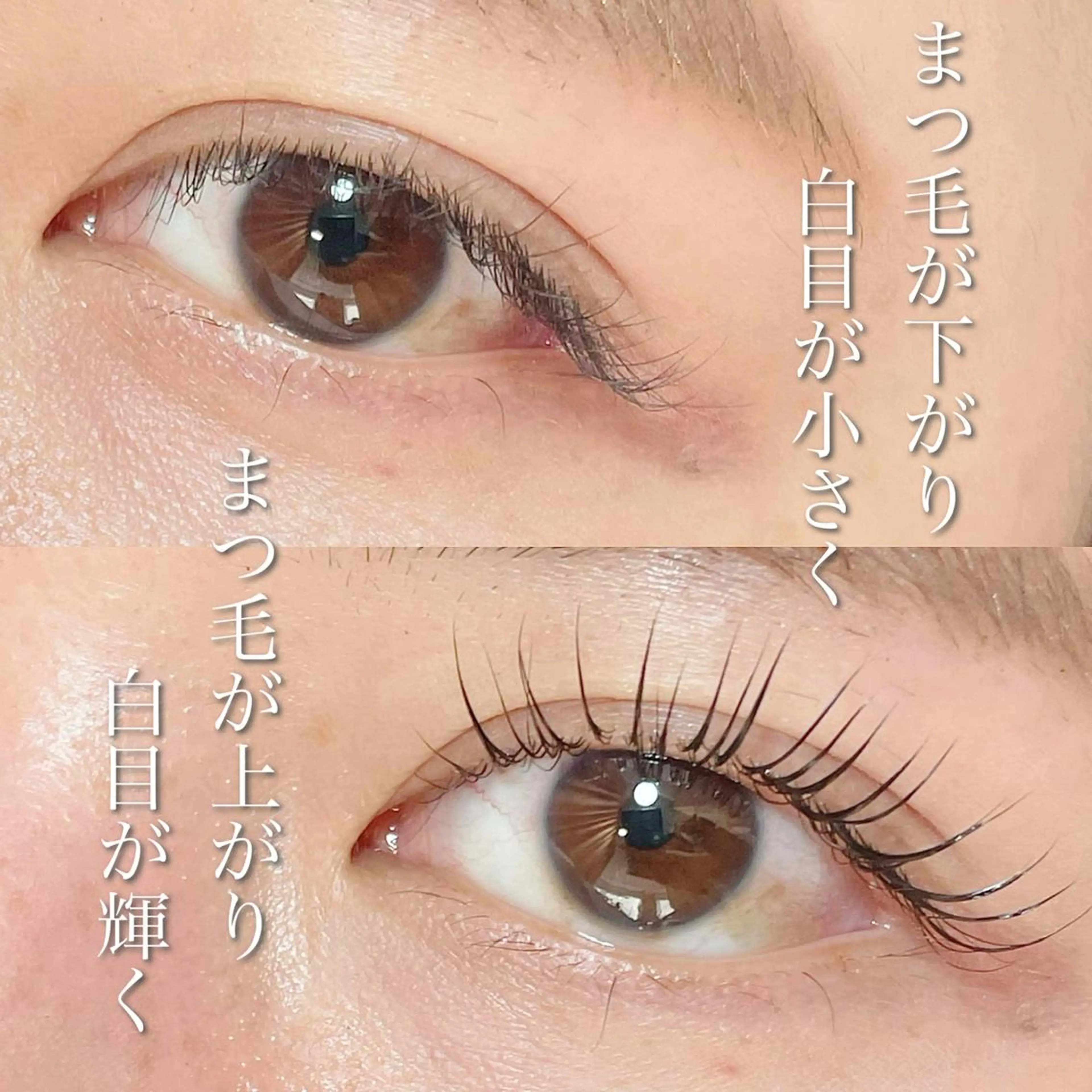 マツエク・マツパ eight eyelash池袋店のマツエク・マツパデザイン