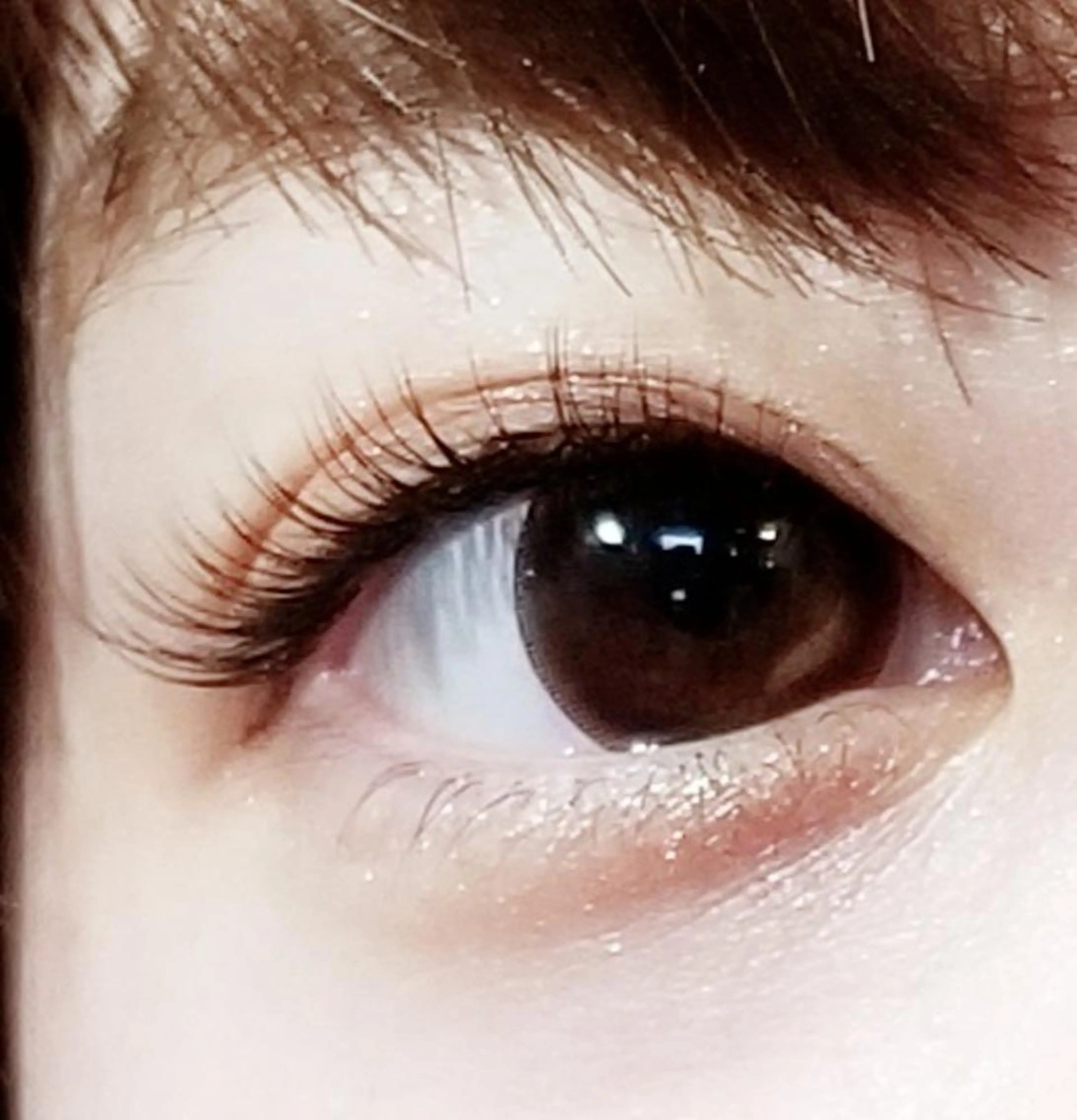 マツエク・マツパ マツエク Rabbit MURAlのマツエク・マツパデザイン