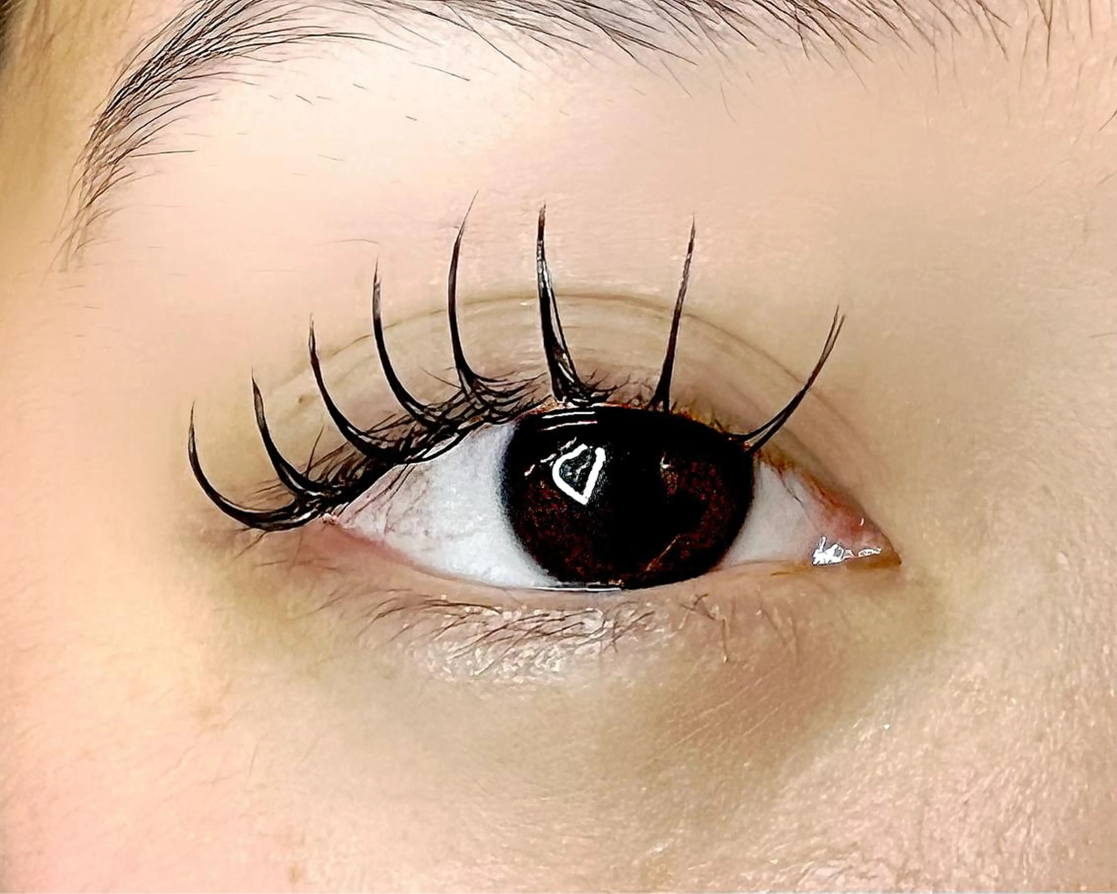 マツエク・マツパ フラットラッシュ マツエク Celeste Venus所属・🧸Celeste Venusのマツエク・マツパデザイン