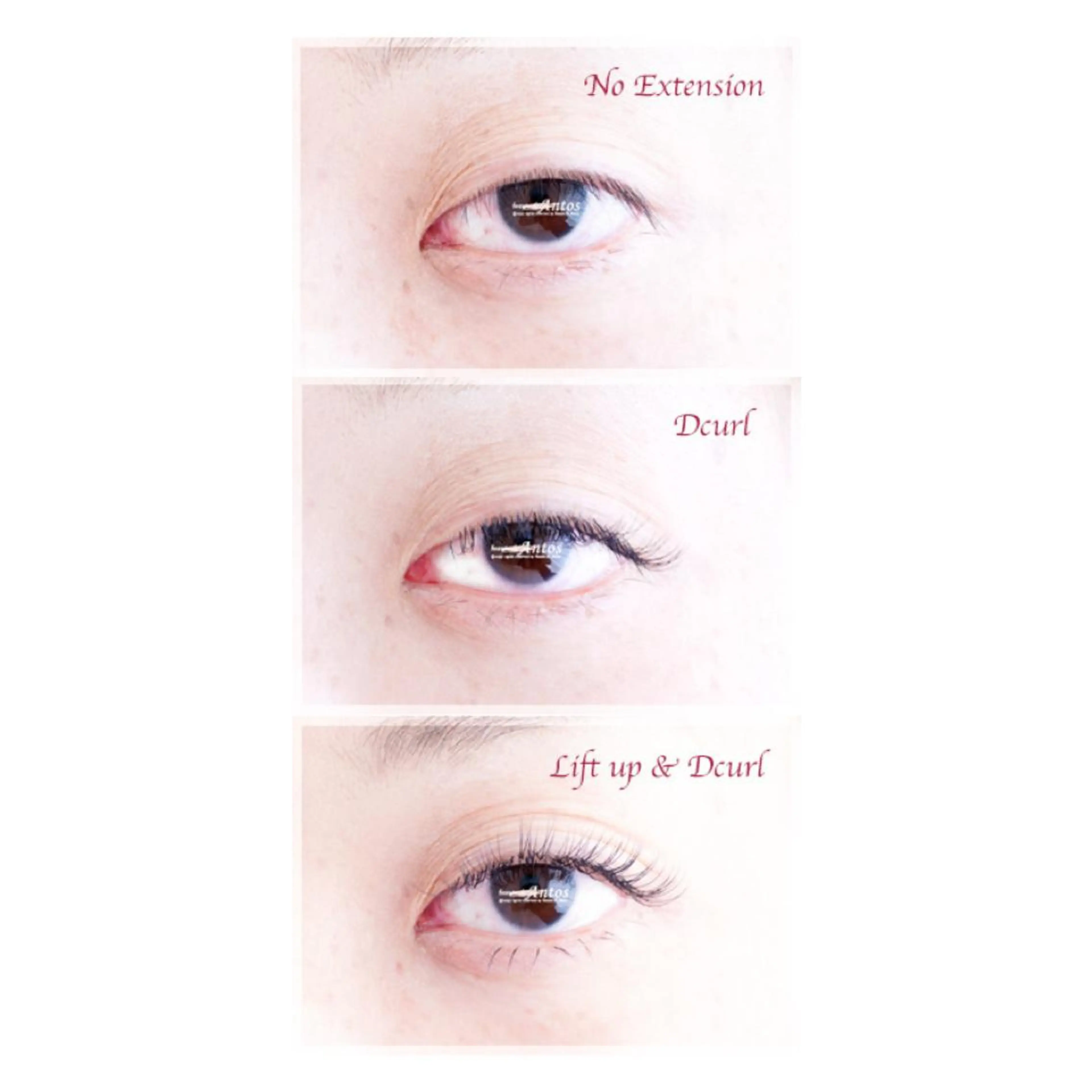 マツエク・マツパ まつげ&眉の専門店 アントススタッフの眉毛・アイブロウイメージ