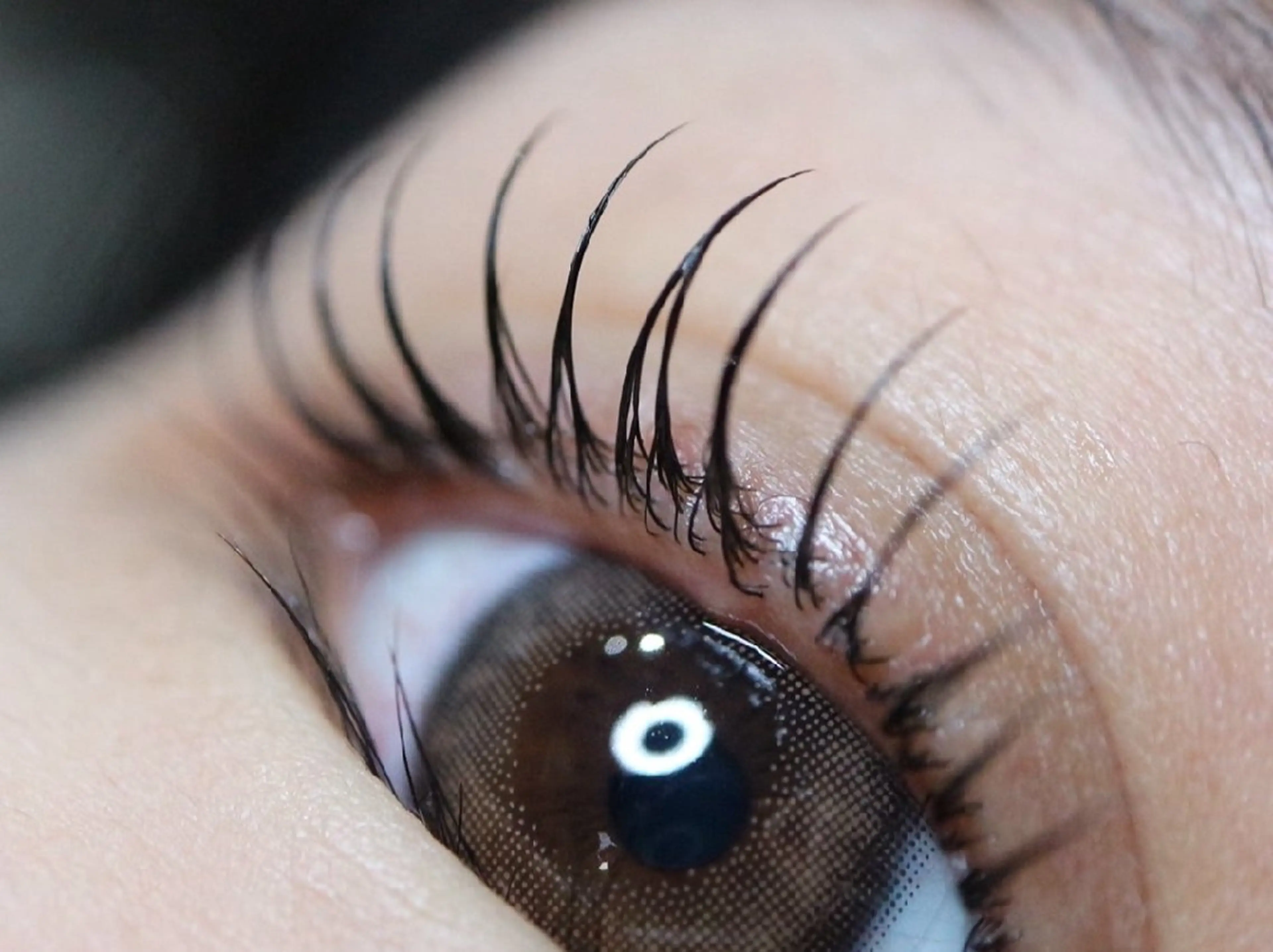 マツエク・マツパ パリジェンヌラッシュリフト ～Sikibu ～ Reaの眉毛・アイブロウイメージ