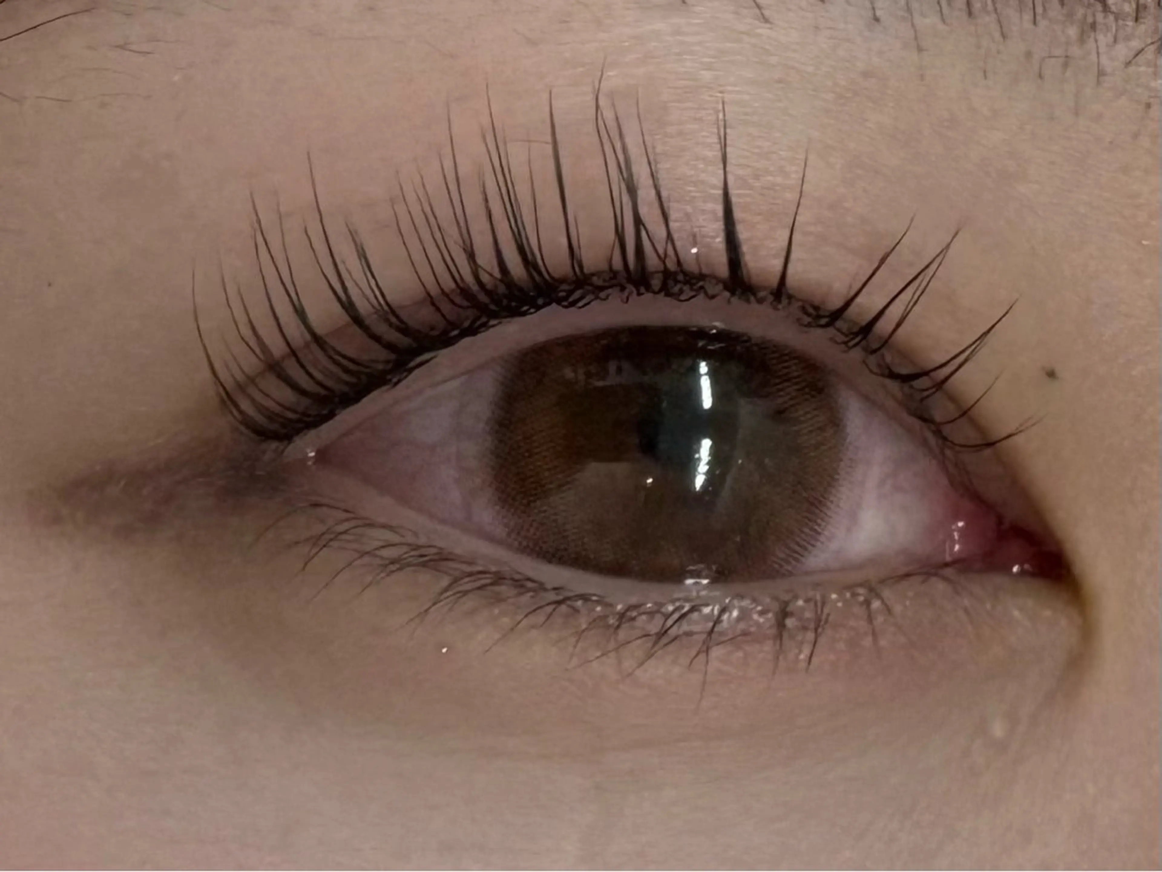 マツエク・マツパ パリジェンヌラッシュリフト 一重×まつ毛パーマ KANGOL BEAUTY SALON Eyelash アルカキット錦糸町店所属・板谷 弥生のマツエク・マツパデザイン