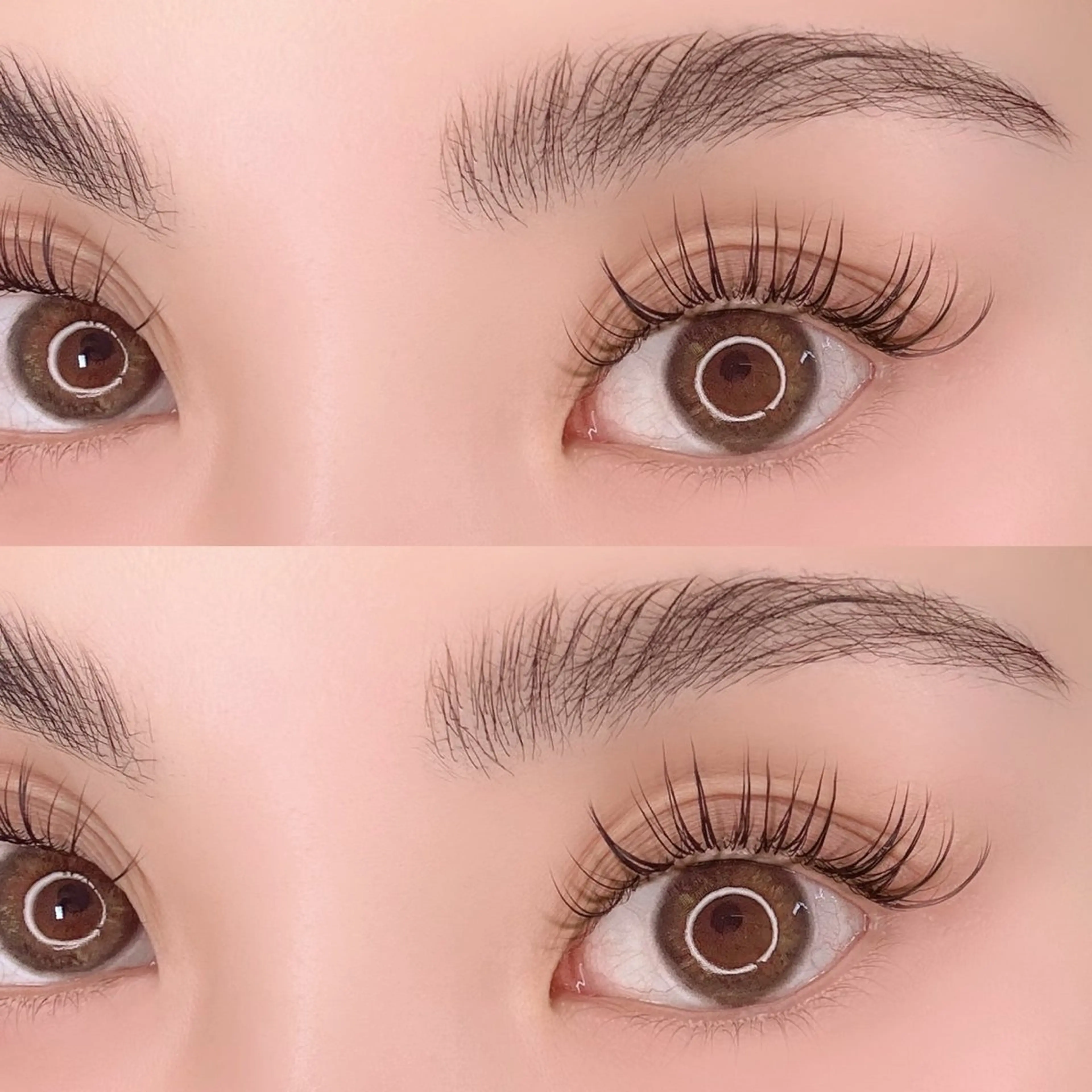 🌼ハリウッドブロウリフト🌼の写真