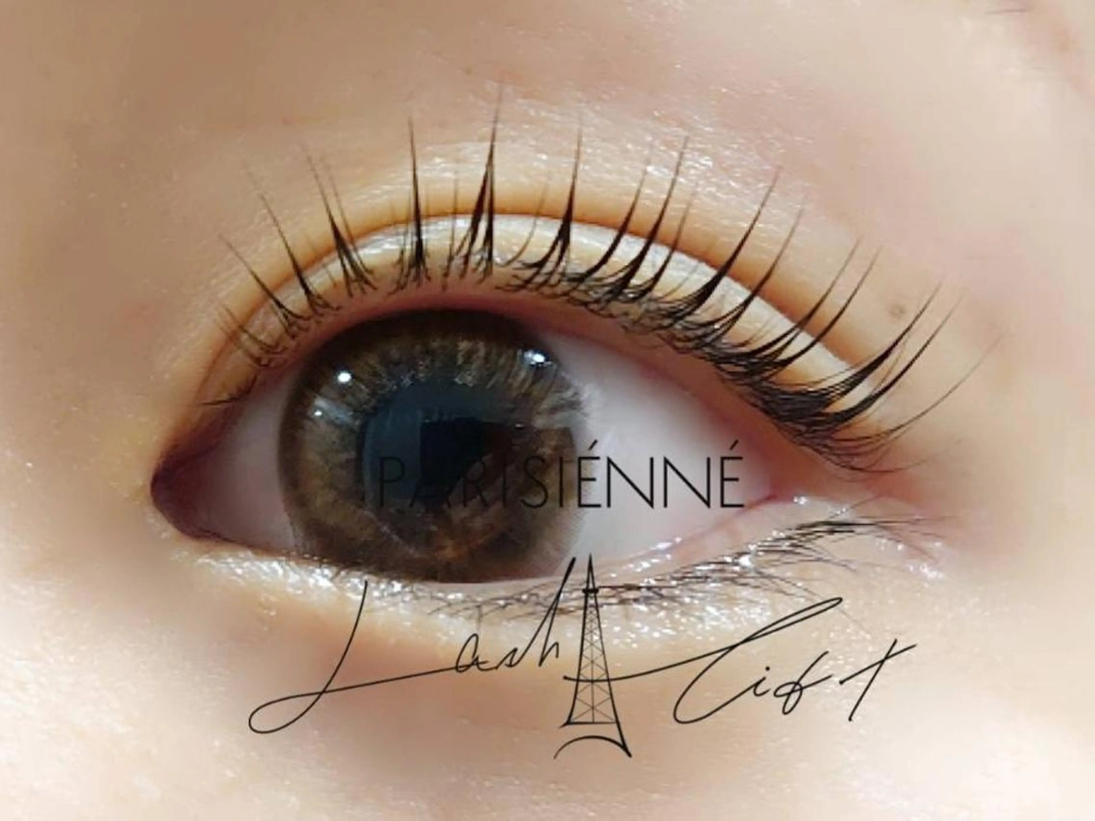 マツエク・マツパ パリジェンヌラッシュリフト まつげパーマ OASE アイラッシュの眉毛・アイブロウイメージ