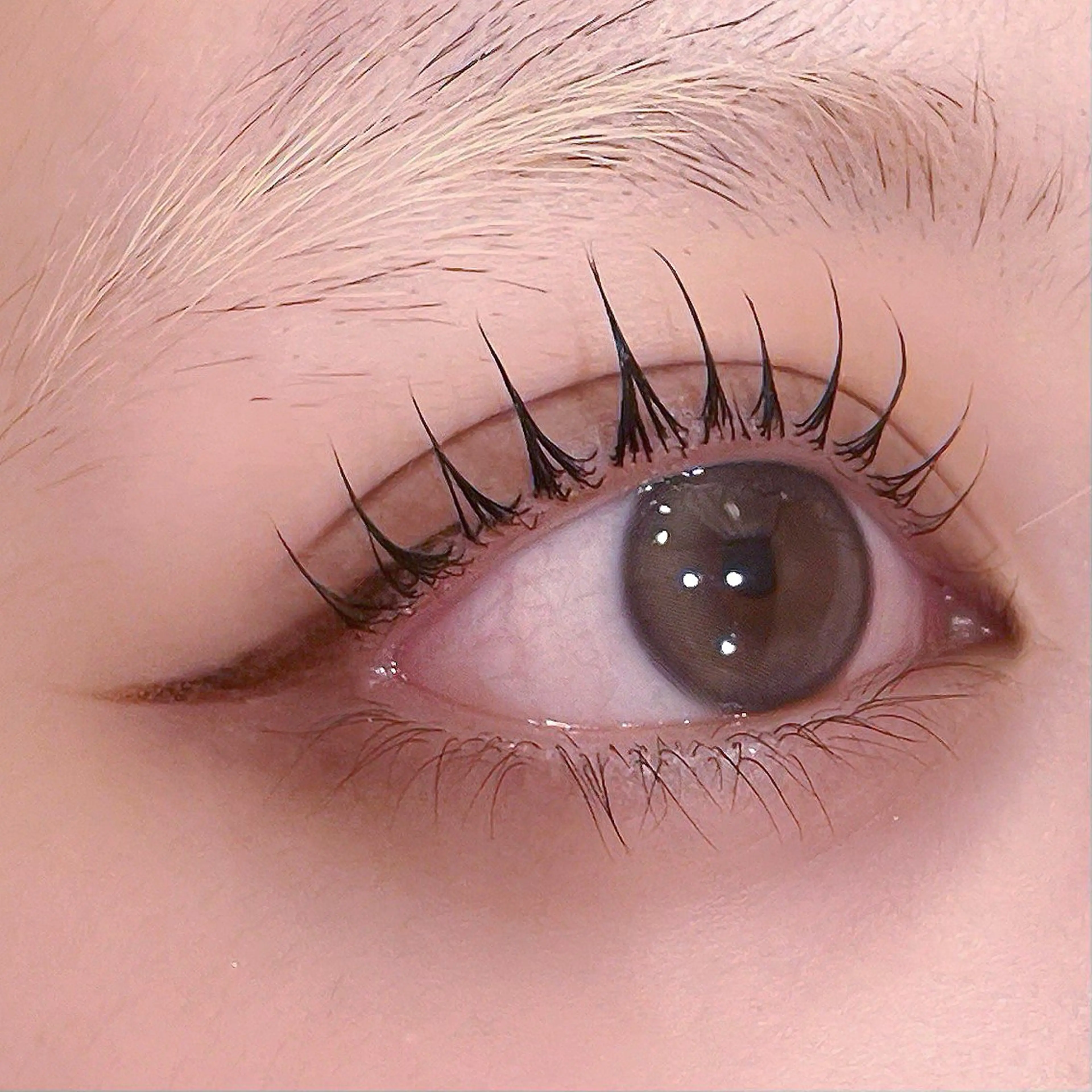 ❤︎韓国風束間仕上げ❤︎🎀パリジェンヌ（立ち上げデザイン）🎀の写真