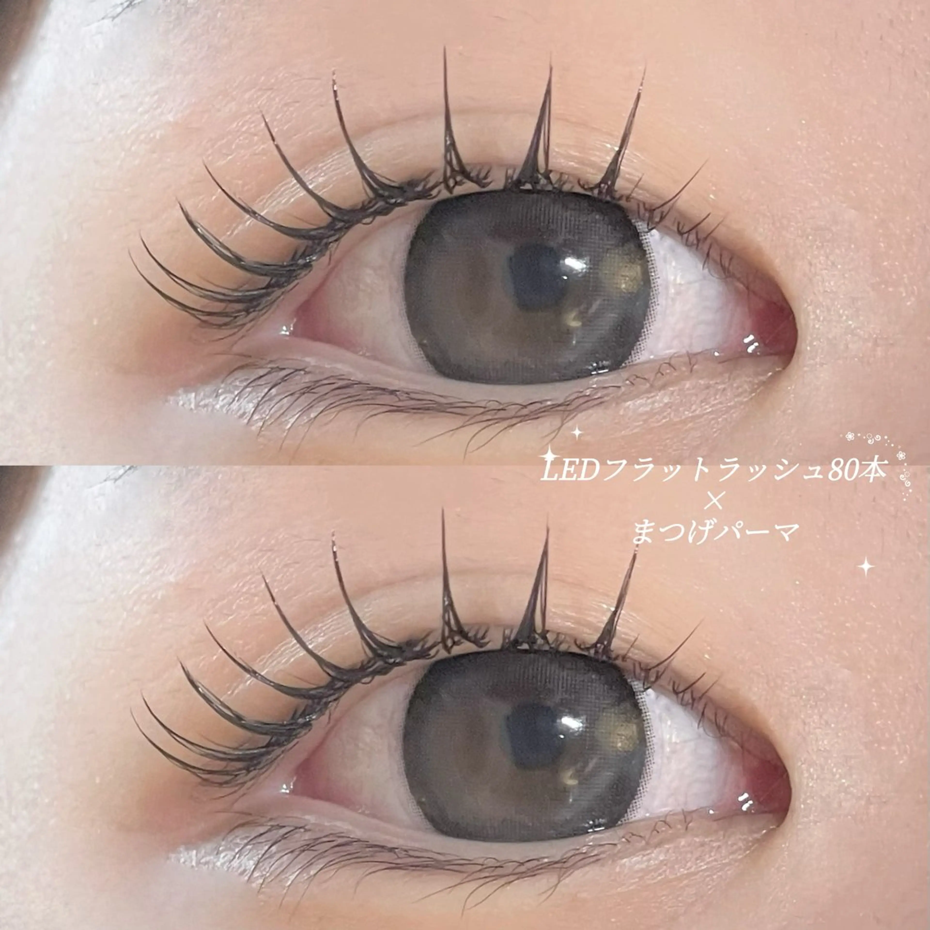 【アンドヘルシー×LED】エクパLEDフラットラッシュ80本【&healthy】アイシャンプー付き🌙の写真