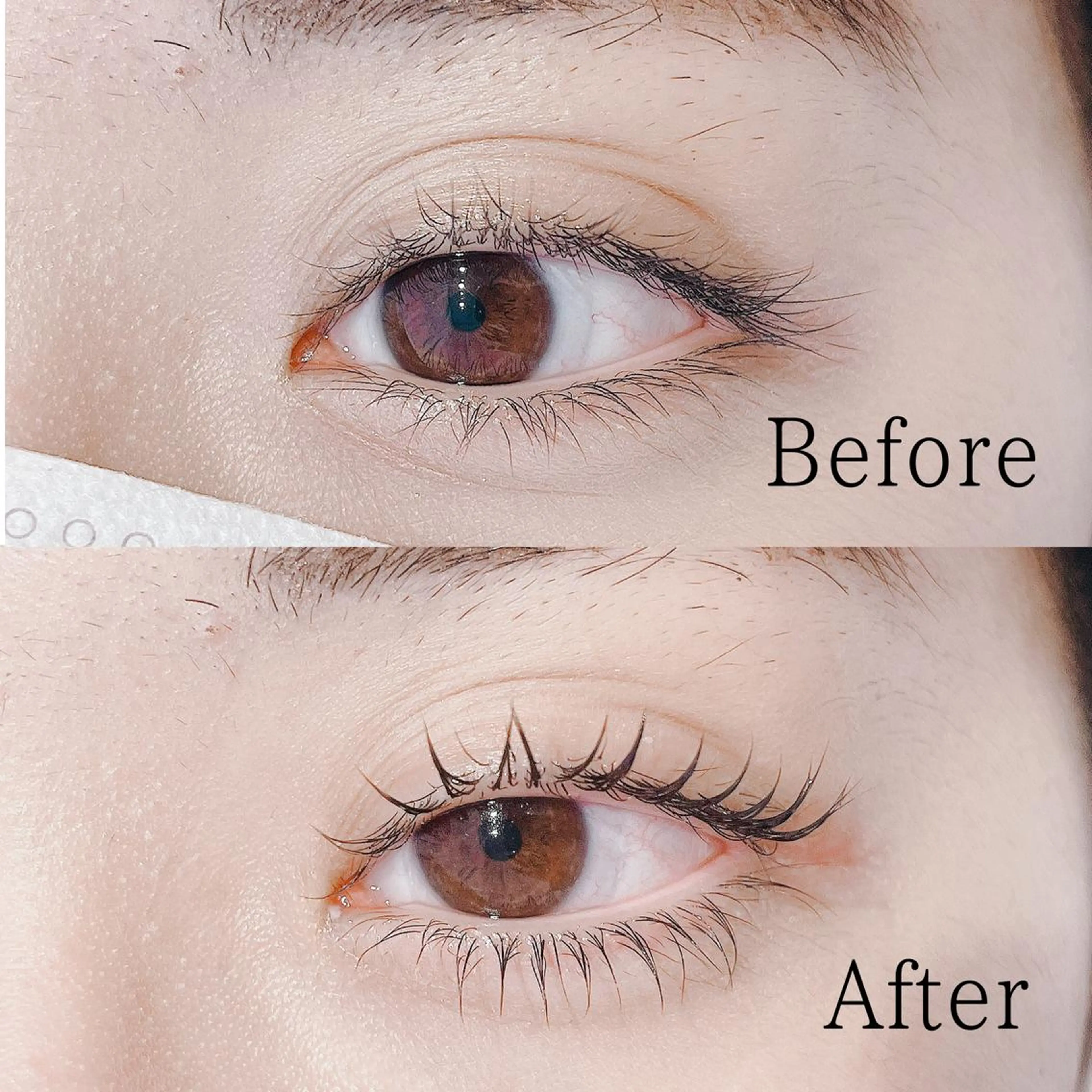 マツエク・マツパ アイリッチ津田沼店所属・アイリッチ津田沼 コバヤシのマツエク・マツパデザイン