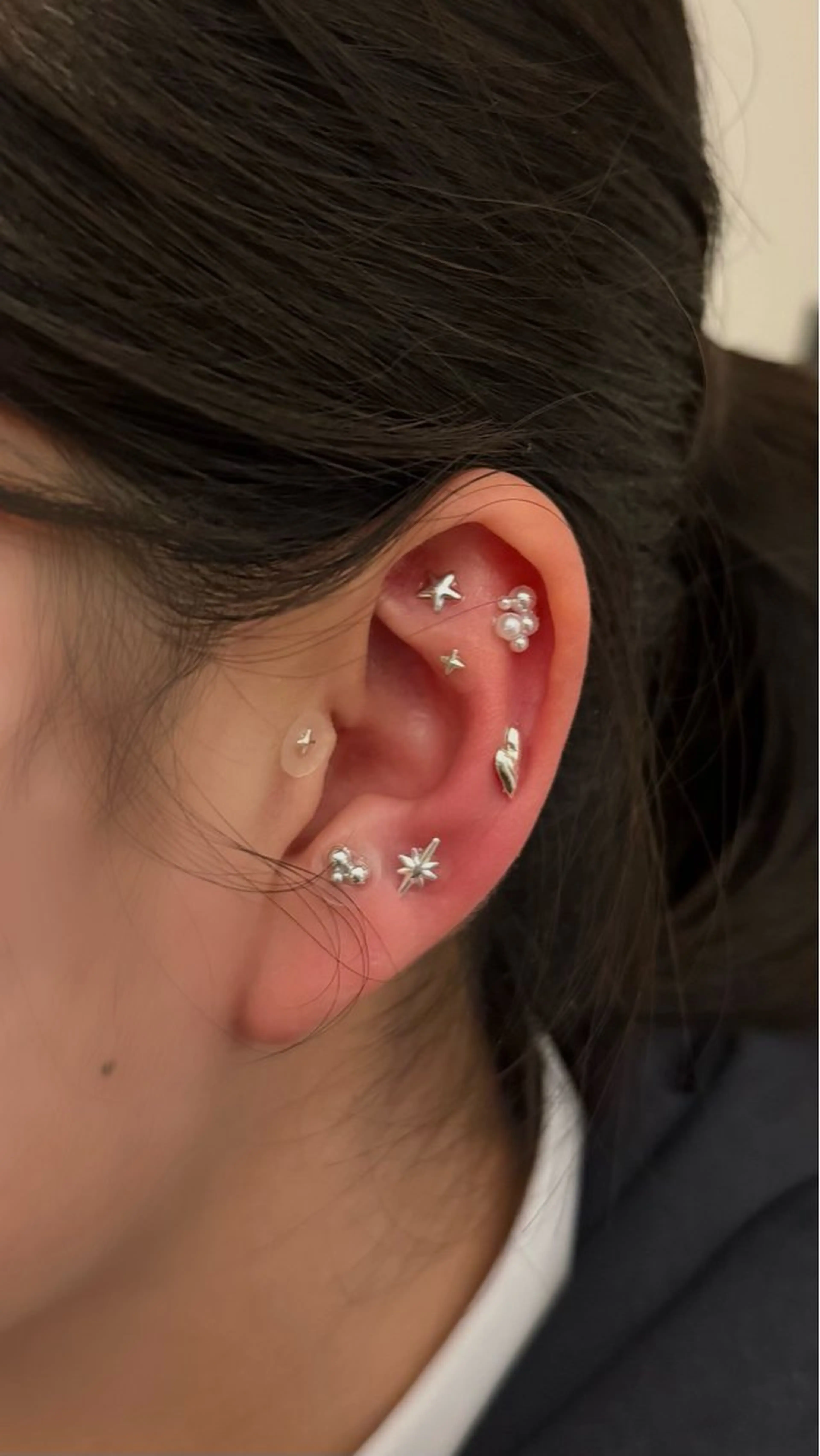 B.napus/mimi2bo所属・B.napus Nanohaのその他イメージ