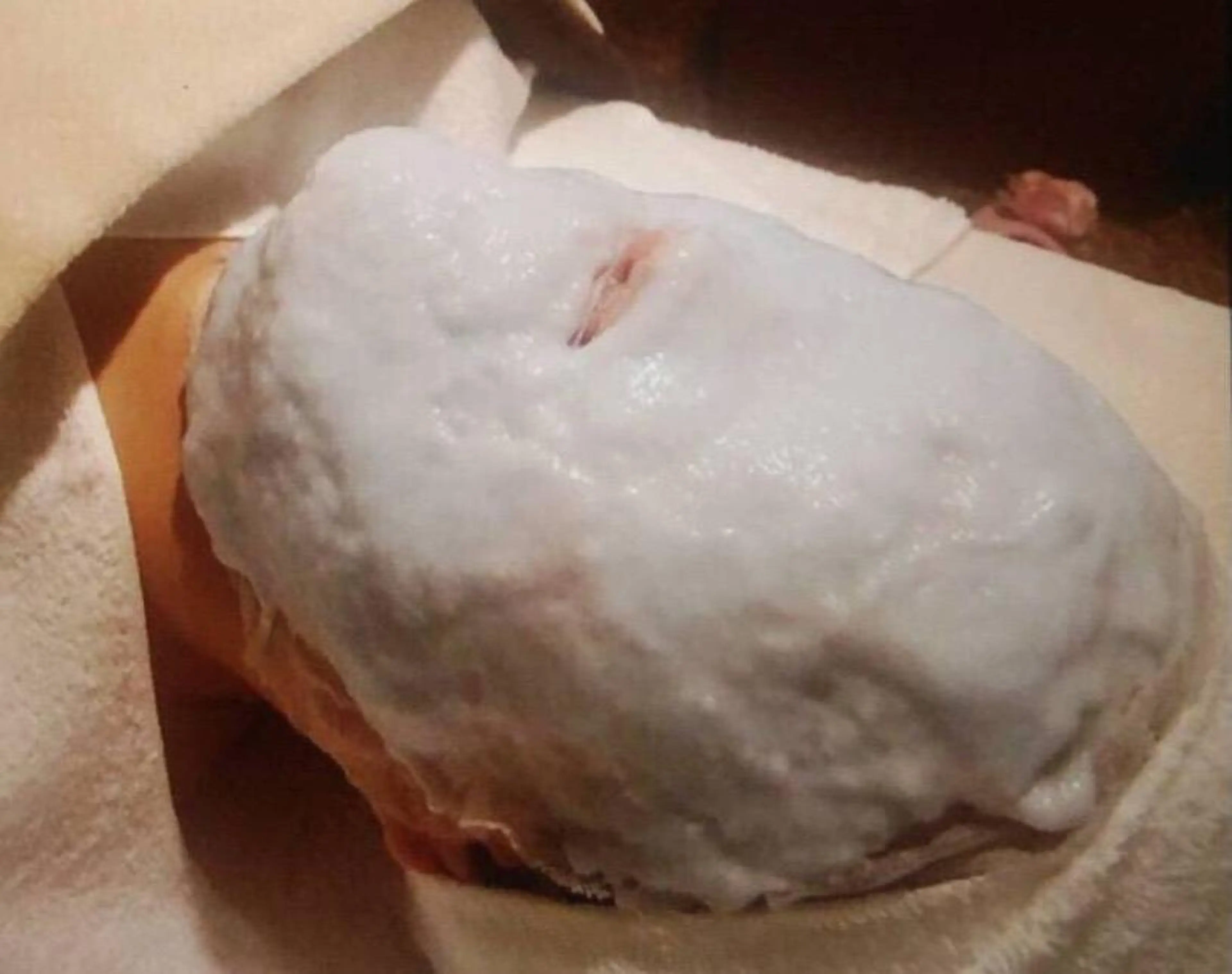 \美白＆くすみケアエステ/１回で感動の透明感✨パッと明るく✨シミケアもこちら💁‍♀️の写真