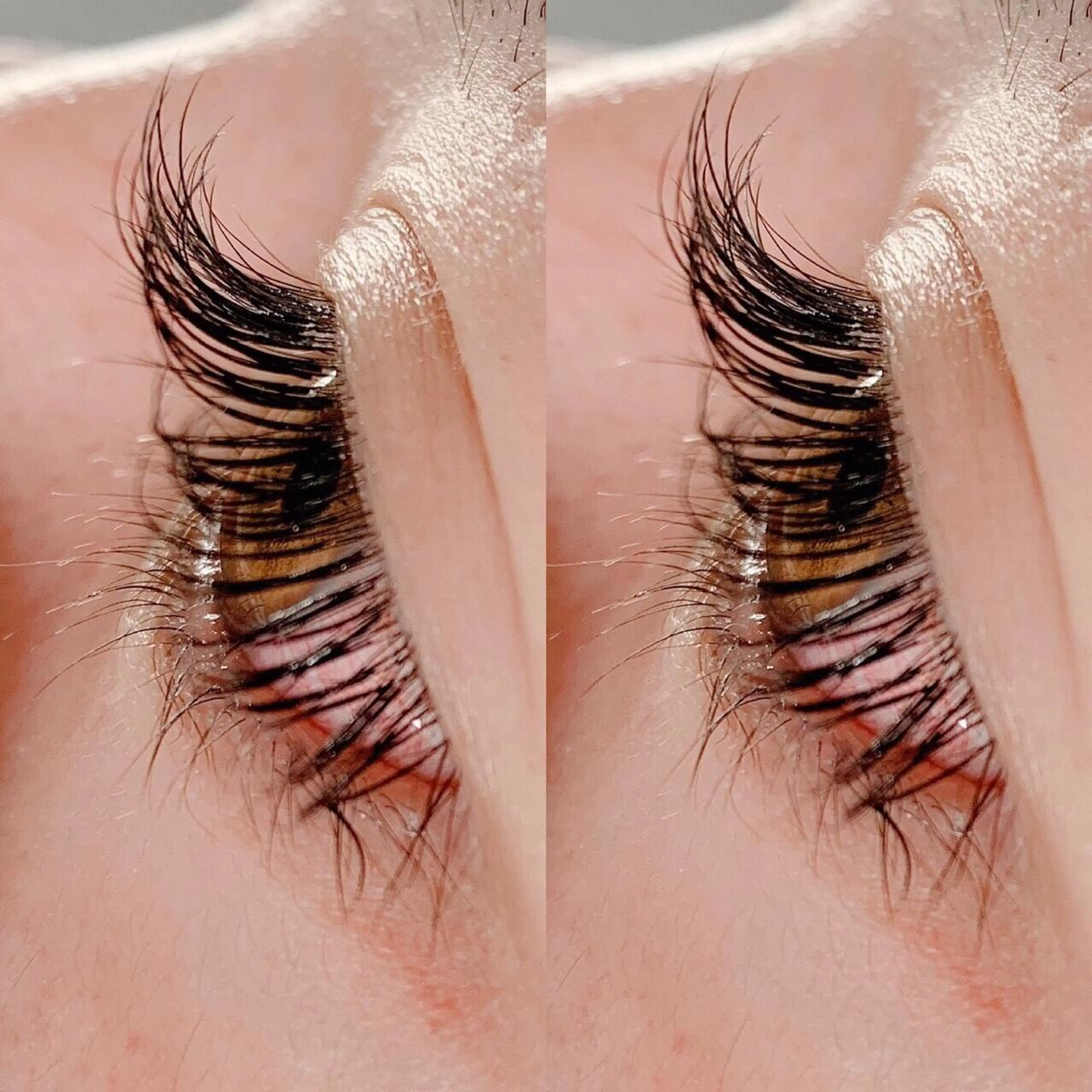 《ご新規様》まつ毛エクステ ミンク140本まで付け放題🎈4950円𖤐⡱の写真