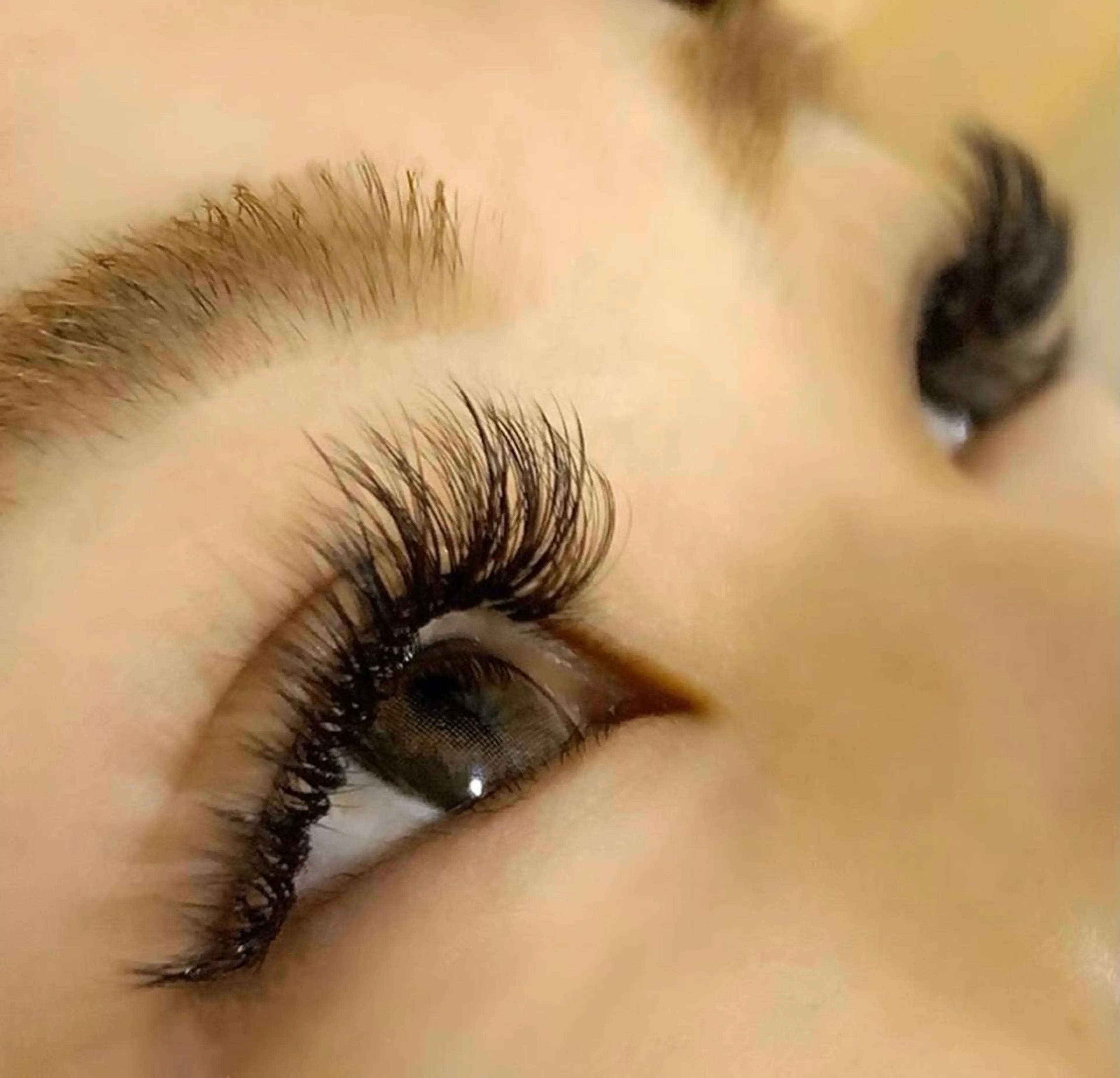 【OPEN特別価格】🦄オフ込ボリュームラッシュ120束🦄(600本)の写真