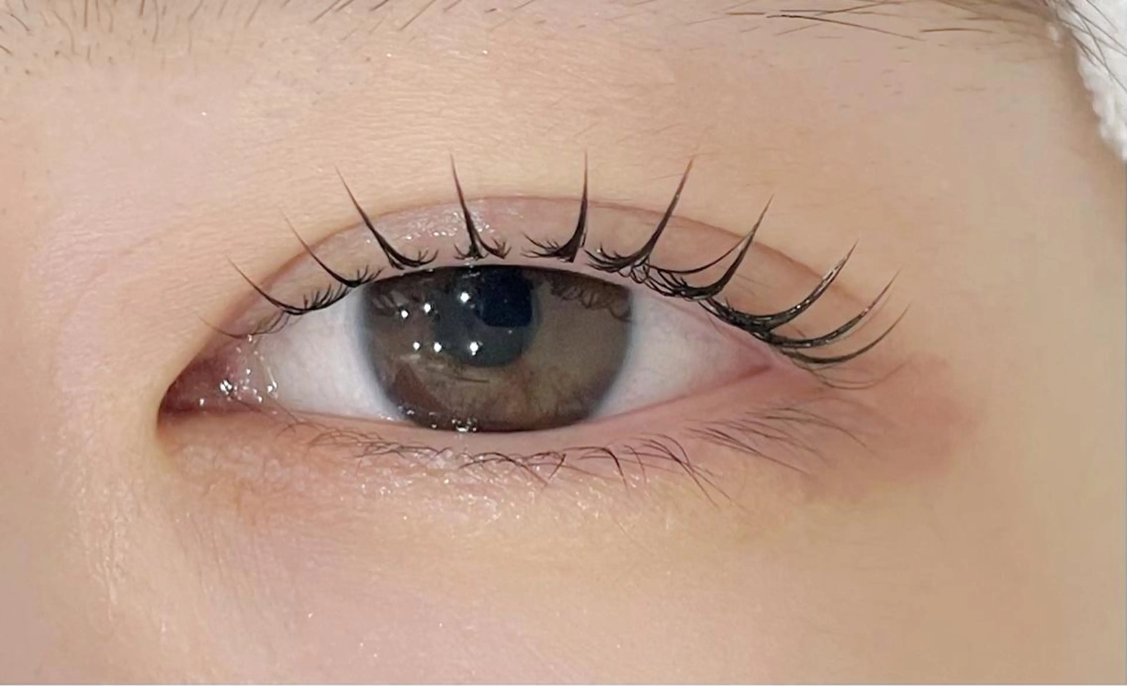 マツエク・マツパ パリジェンヌラッシュリフト マツパ まつげパーマ専門店 くるり🎀赤澤🎀のマツエク・マツパデザイン