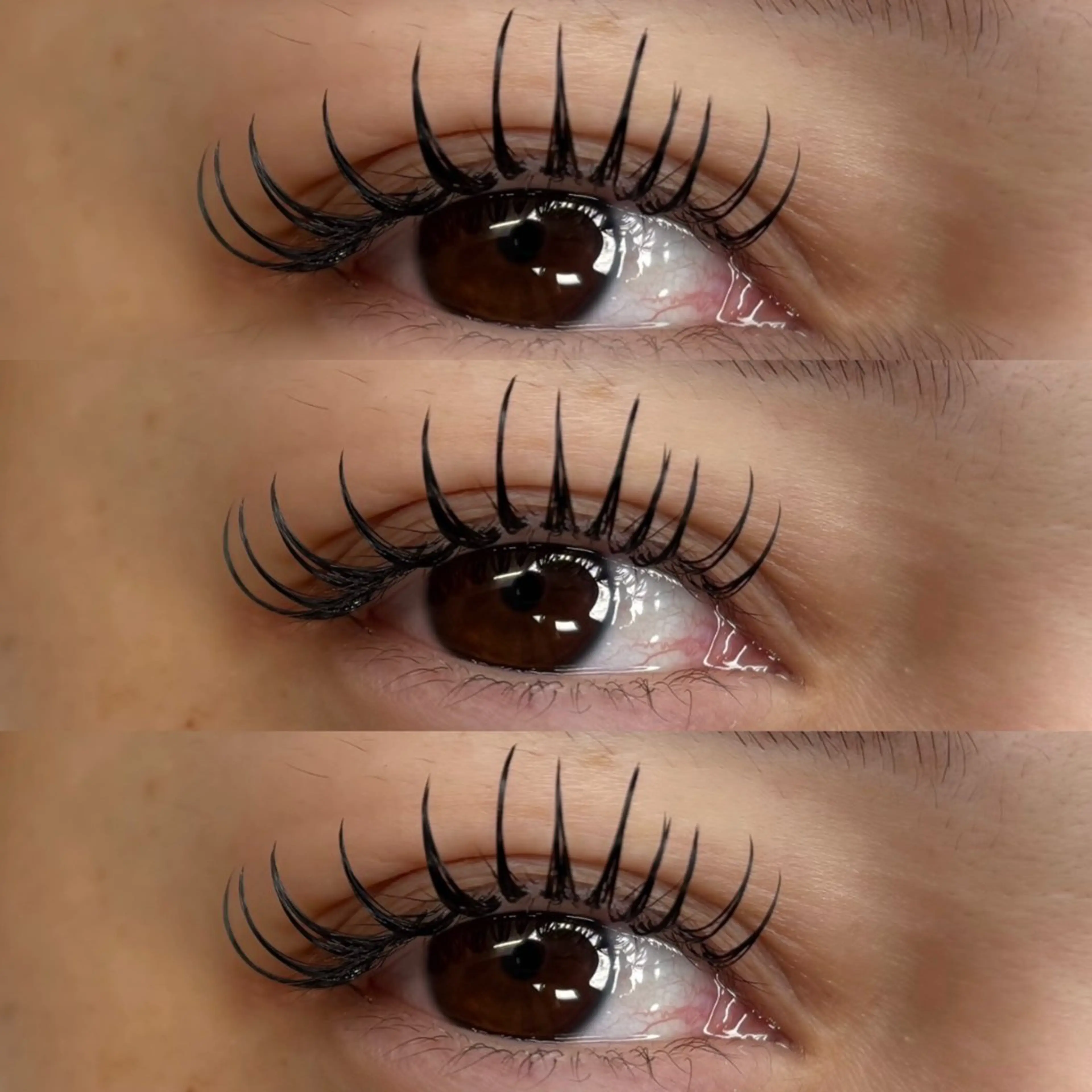 マツエク・マツパ フラットラッシュ マツエク Arva 【Leia】のマツエク・マツパデザイン