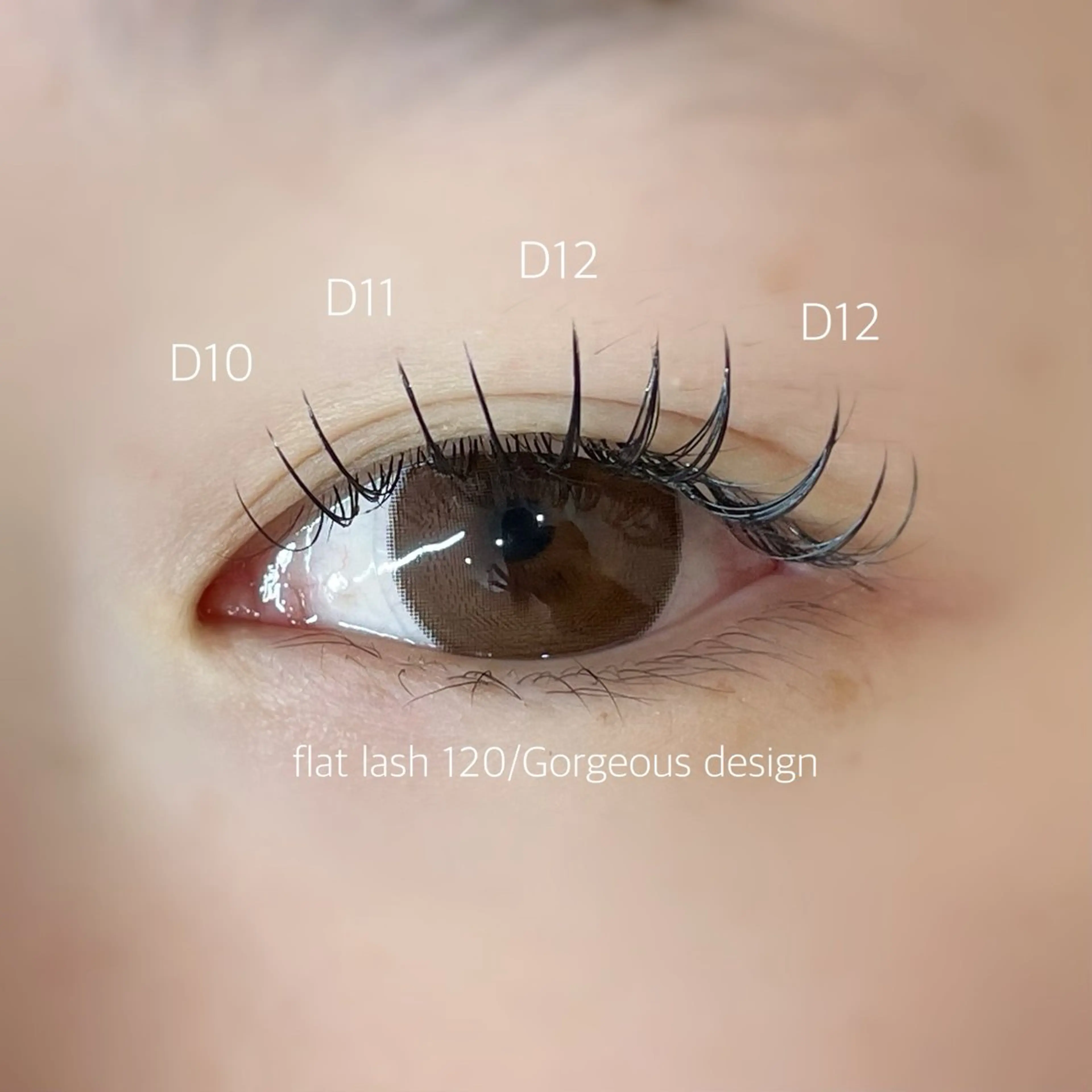 フラットラッシュ120本🎀の写真