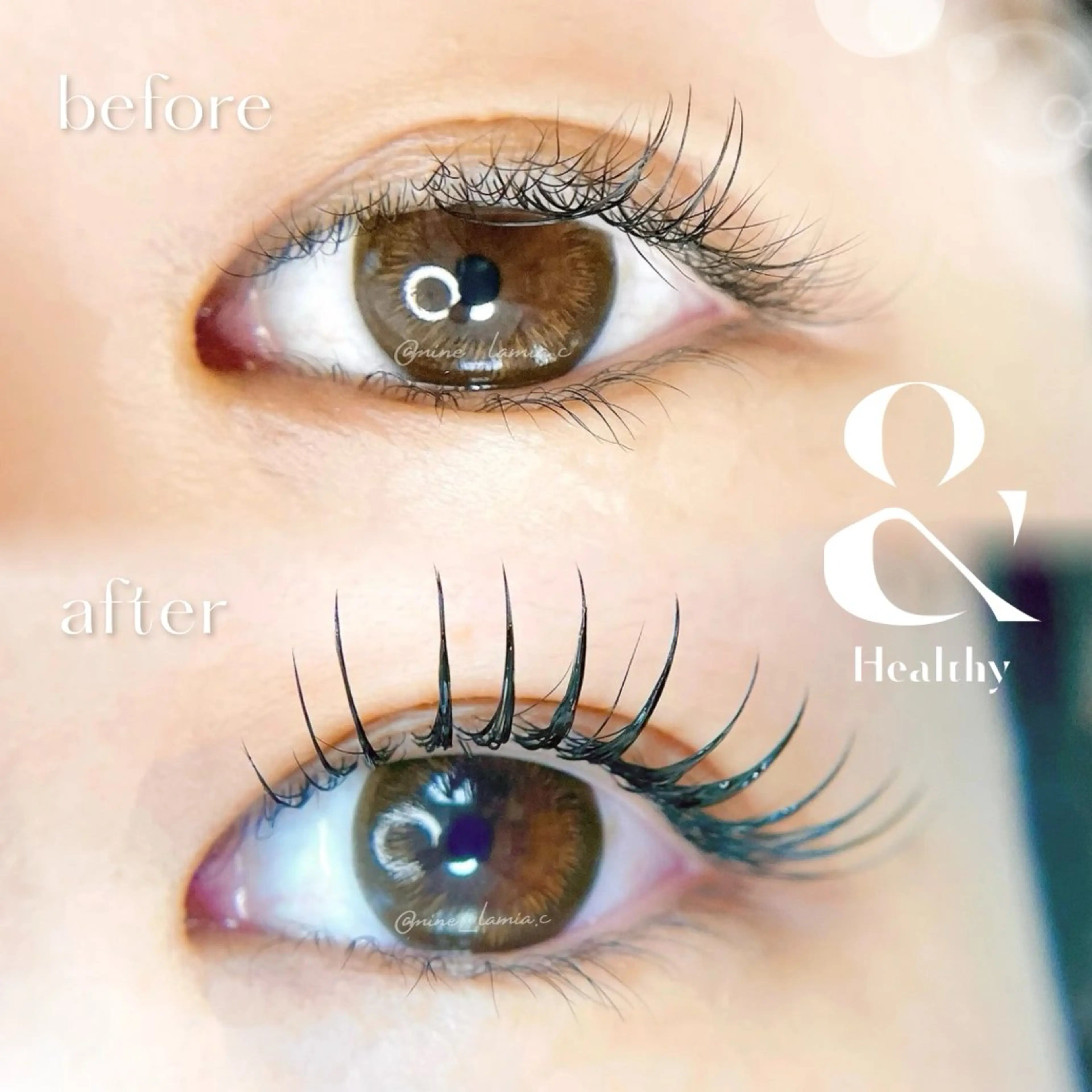 マツエク・マツパ マツエク LaMia.C ラミア所属・LaMia.C ラミアのマツエク・マツパデザイン