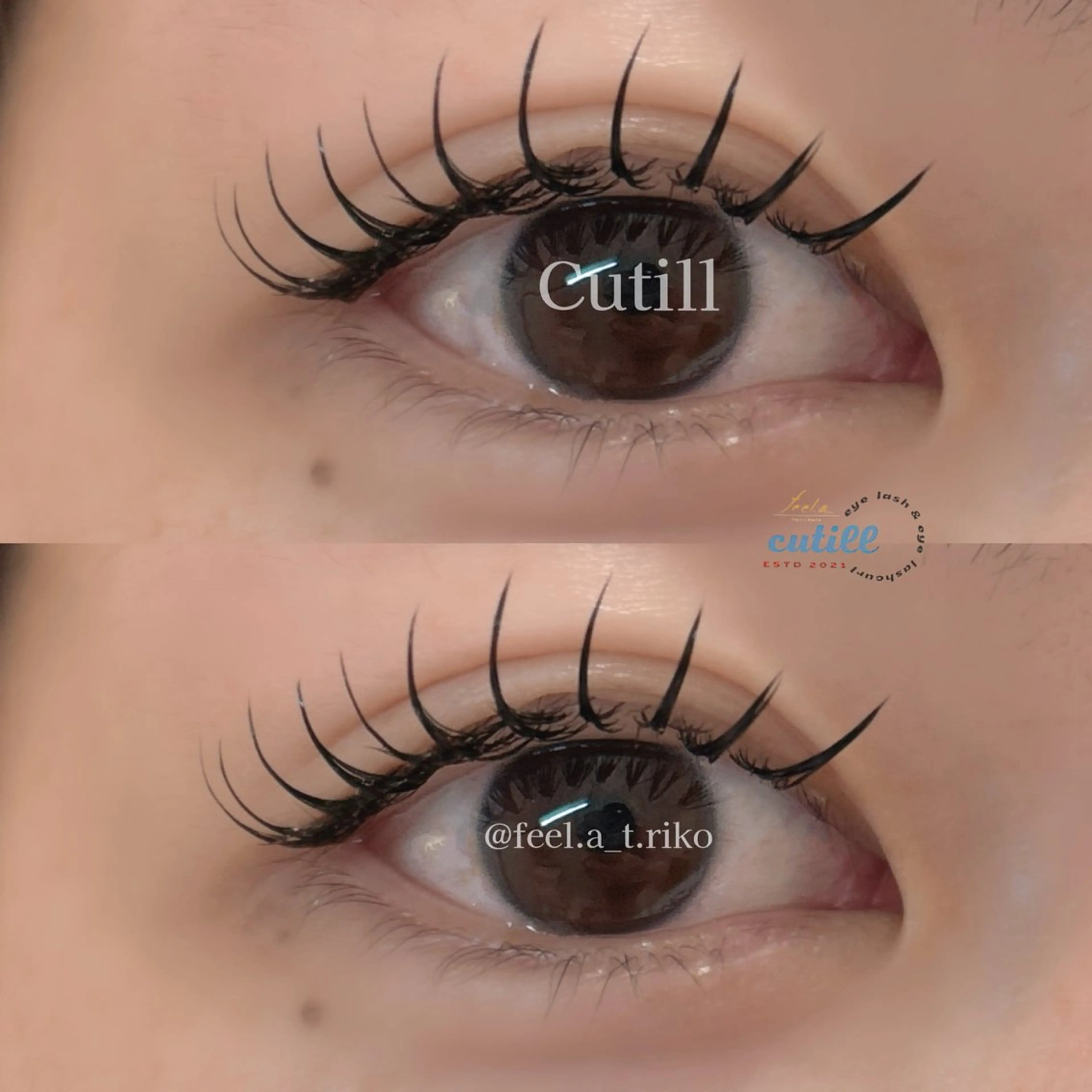国産グルー使用🎀 フラットラッシュ 120本　コーティング仕上げの写真