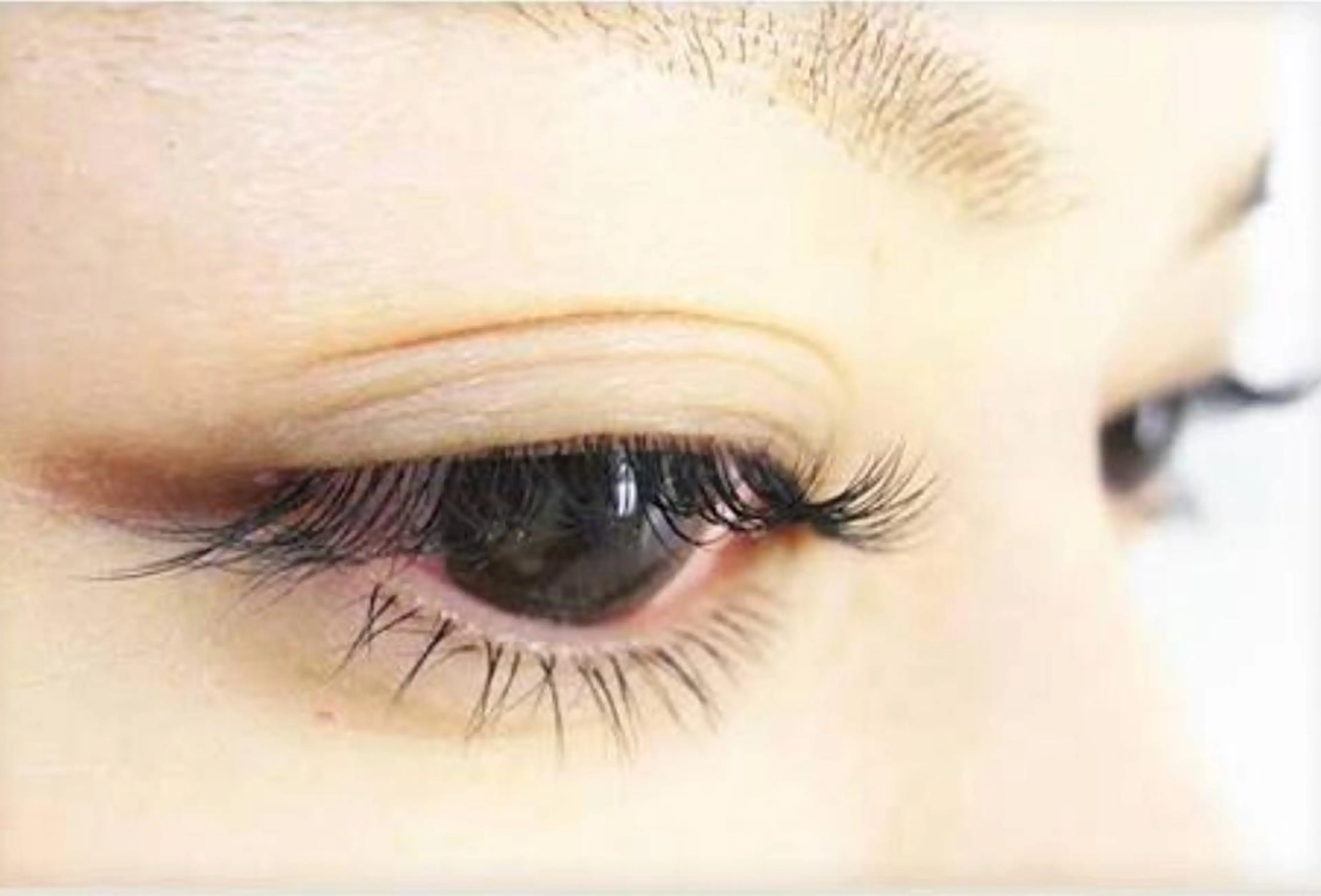 マツエク・マツパ さろんどふじた甲子園所属・江嵜 真由美　　　　甲子園のマツエク・マツパデザイン