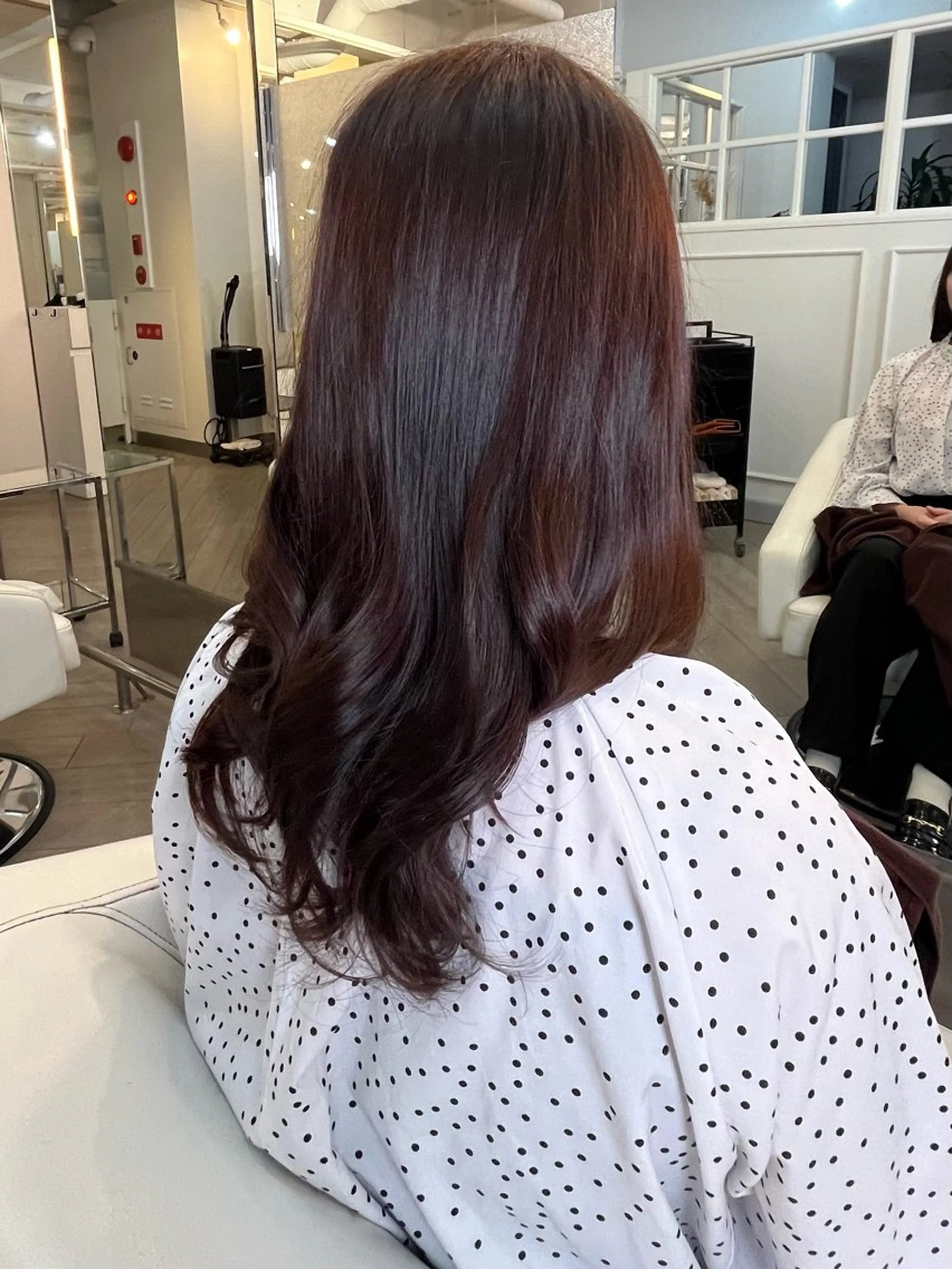 ロング カラー Gramercy alex所属・フルカワ リナのヘアスタイル