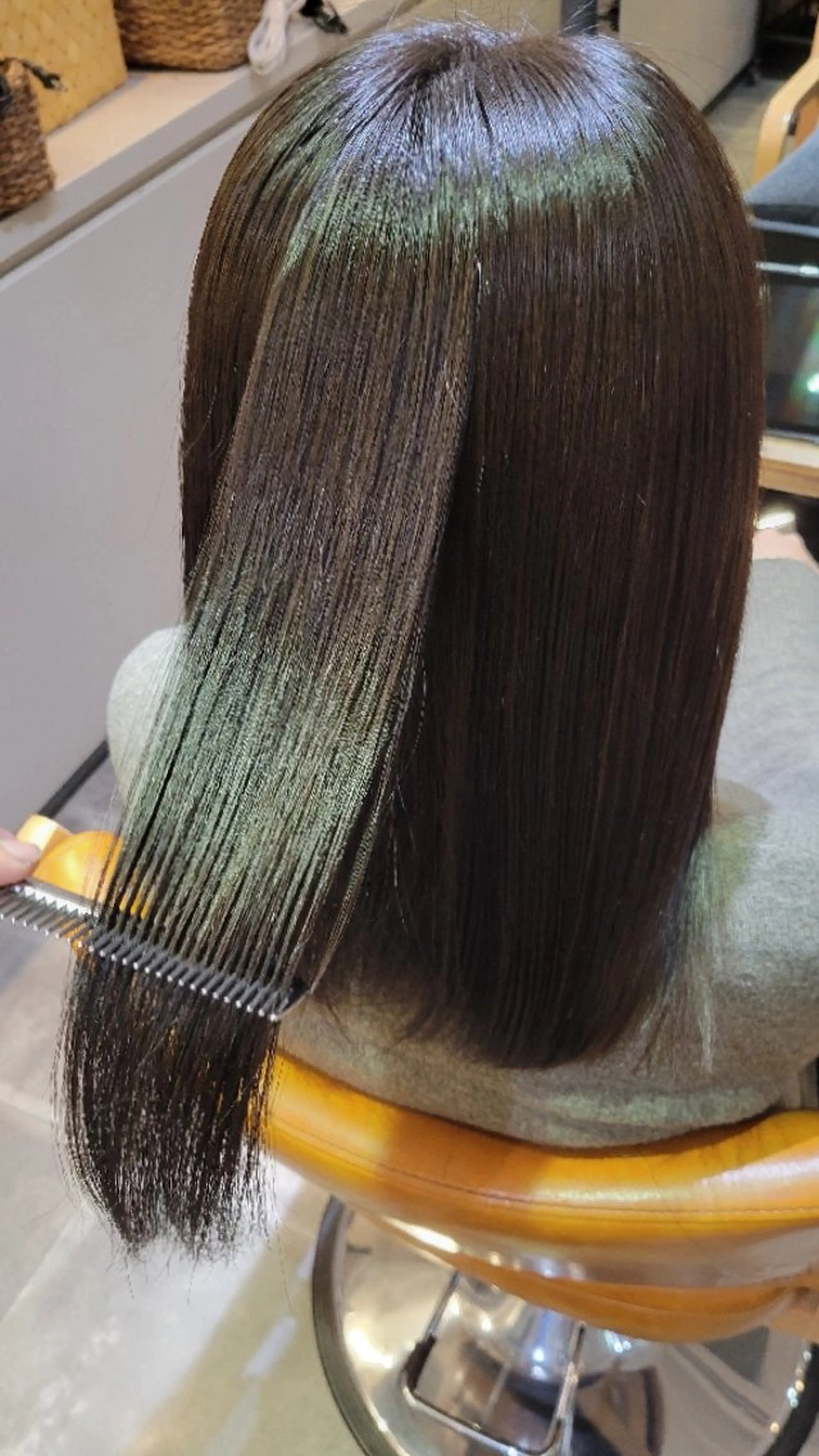 カラー シェル🦋 【韓国風】のヘアスタイル