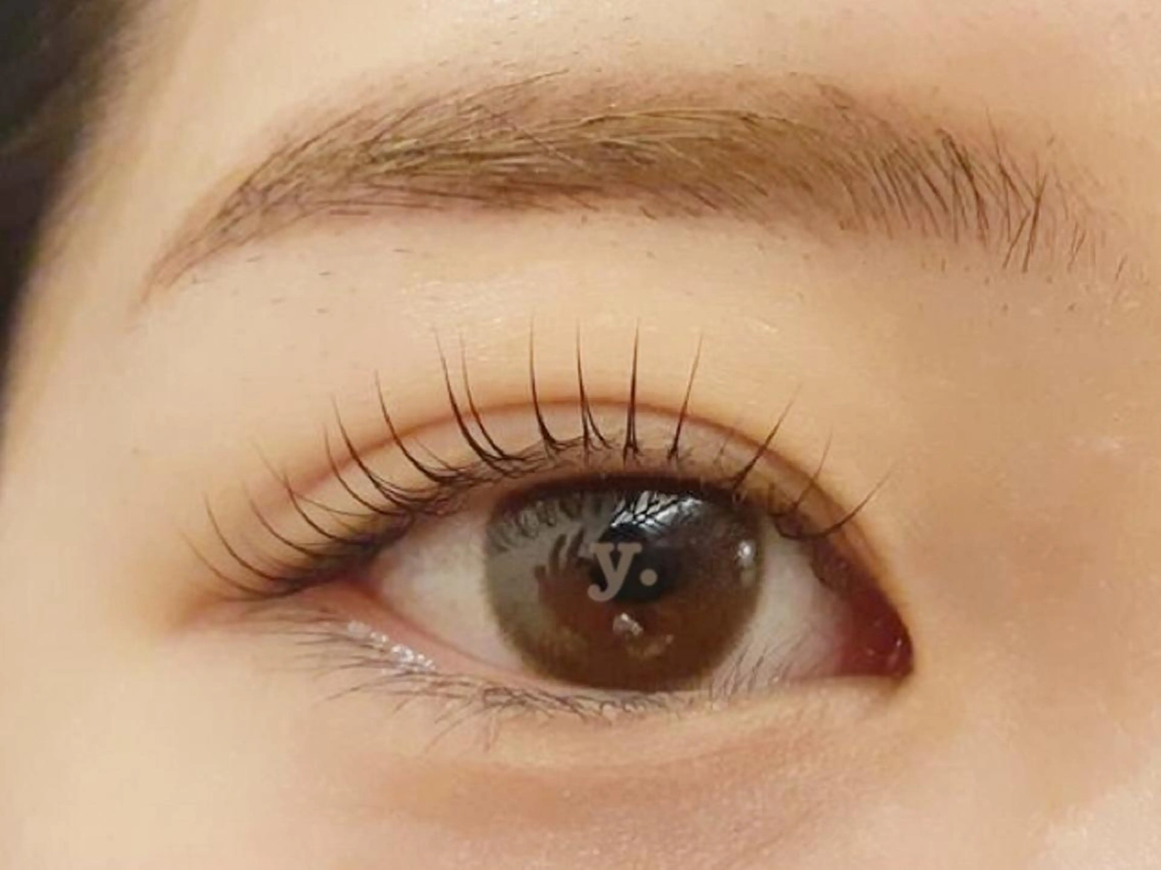 マツエク・マツパ ケラチンラッシュリフト マツパ yuumi .のマツエク・マツパデザイン