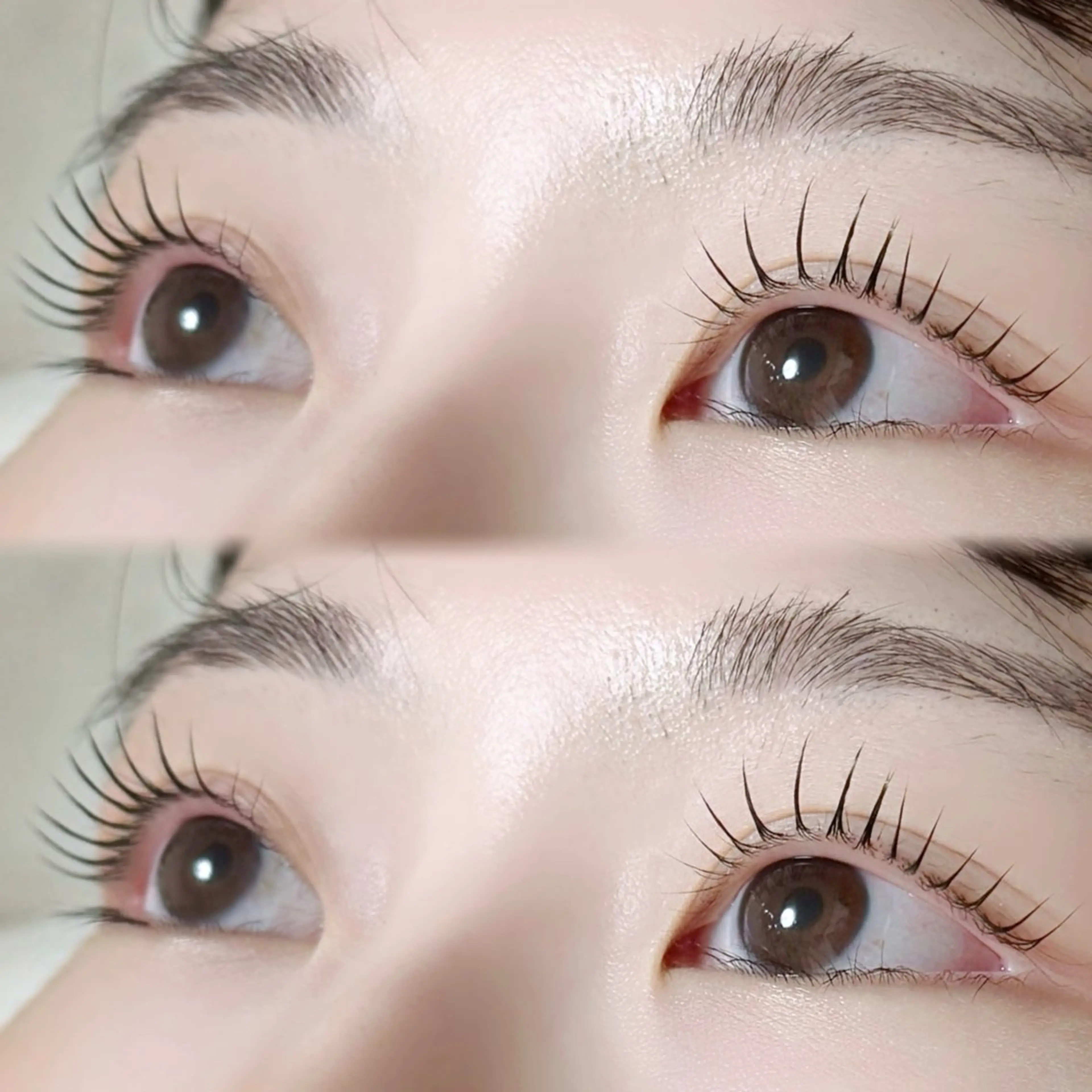 マツエク・マツパ バインドロック 束感まつ毛 フラットラッシュ 韓国風マツエク パリジェンヌラッシュリフト mizuki/束感 まつ毛/似合わせ眉のマツエク・マツパデザイン