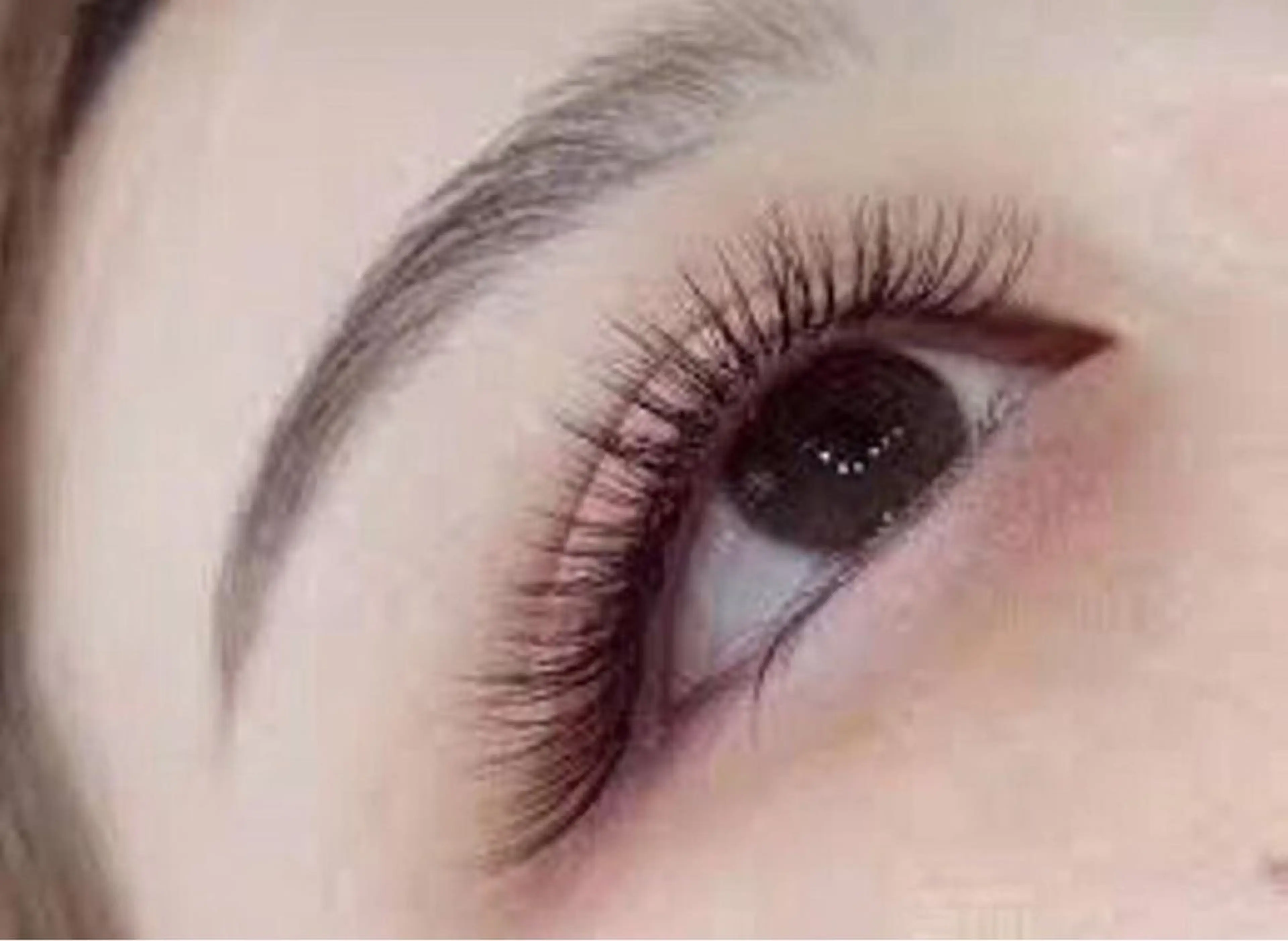 🌟3Dボリュームラッシュ地域最安値🌟80束😍実質240本の写真