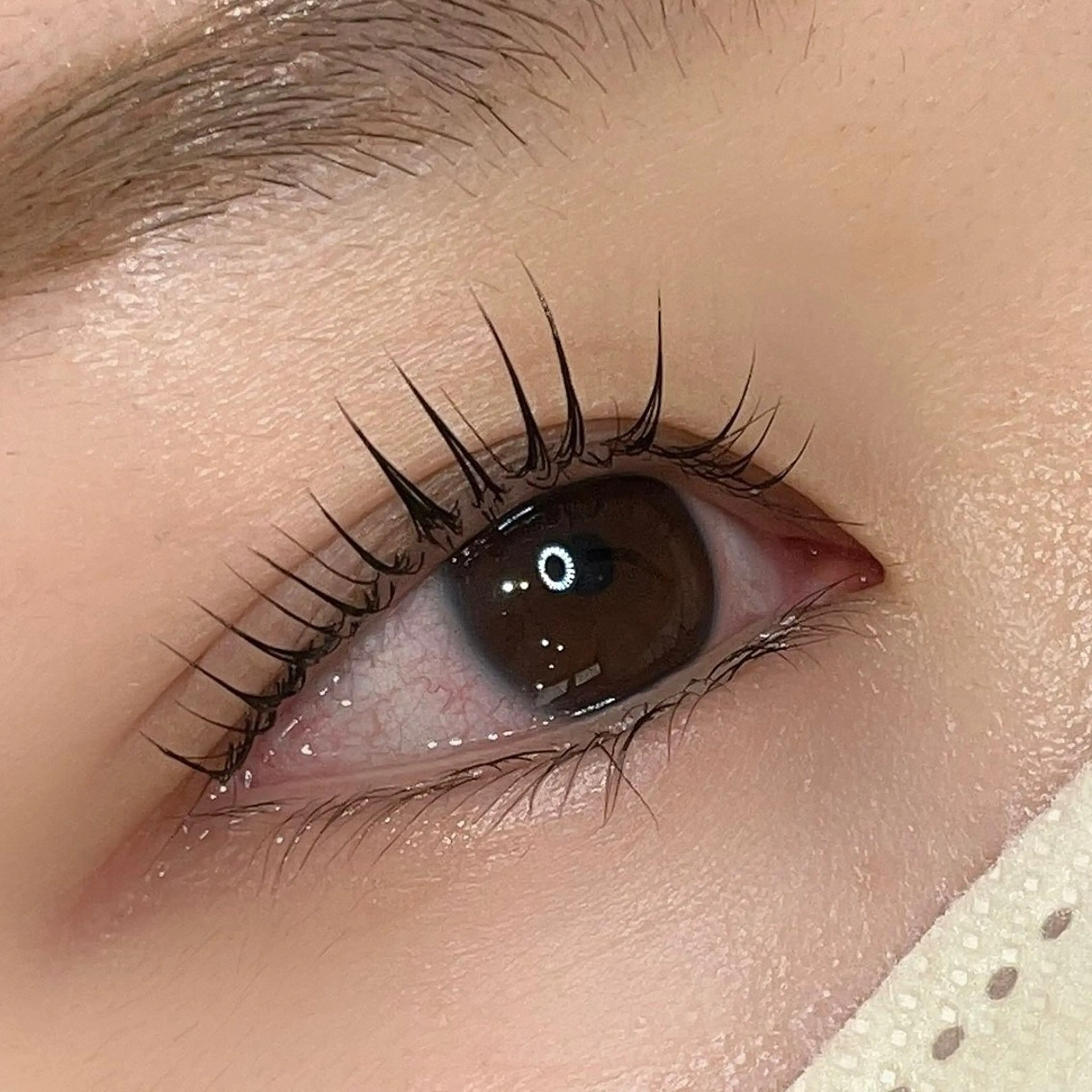 マツエク・マツパ LULU昭島所属・チヒロ Eyelistのマツエク・マツパデザイン