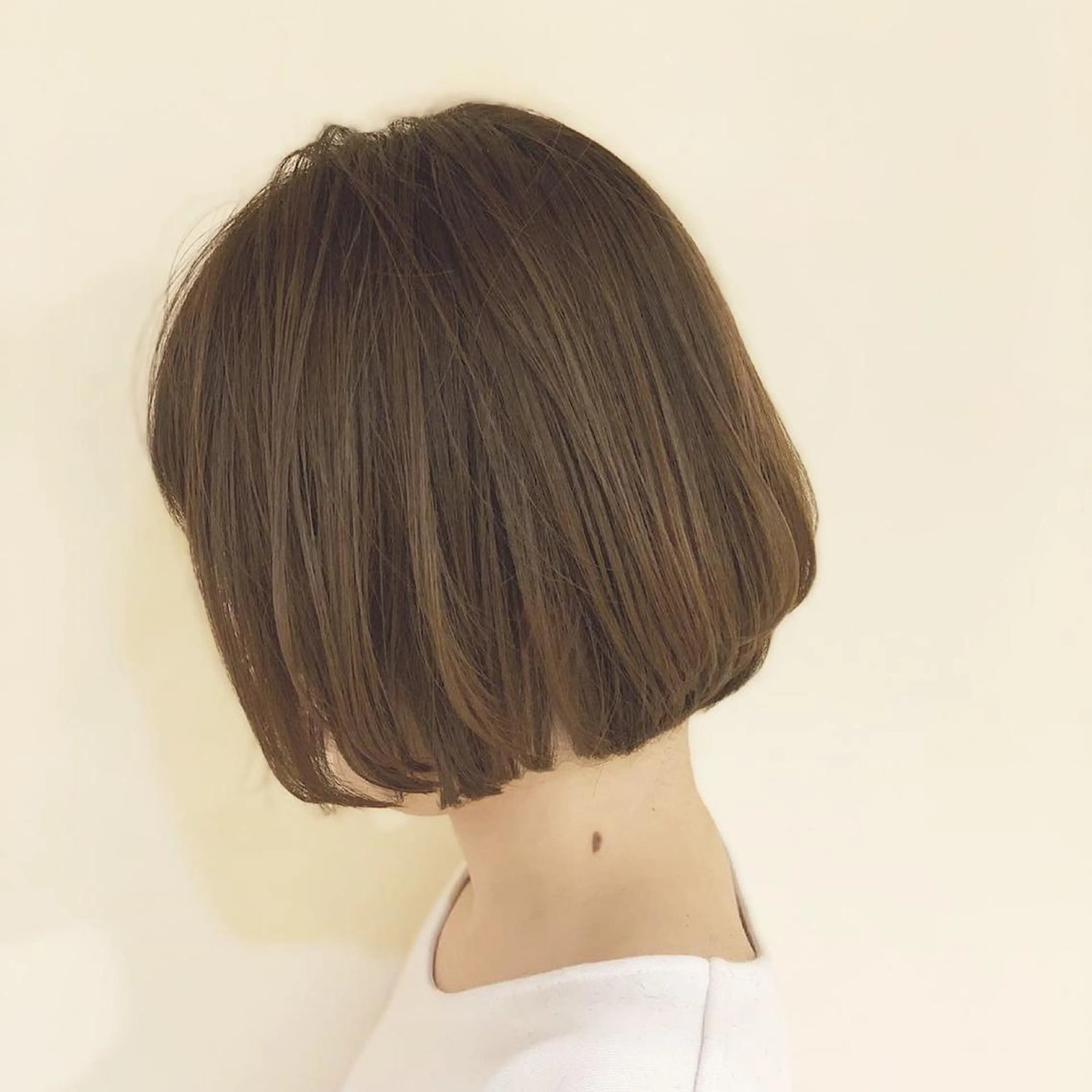 ショート カラー カット トリートメント 大姶良 友輝の眉毛・アイブロウイメージ