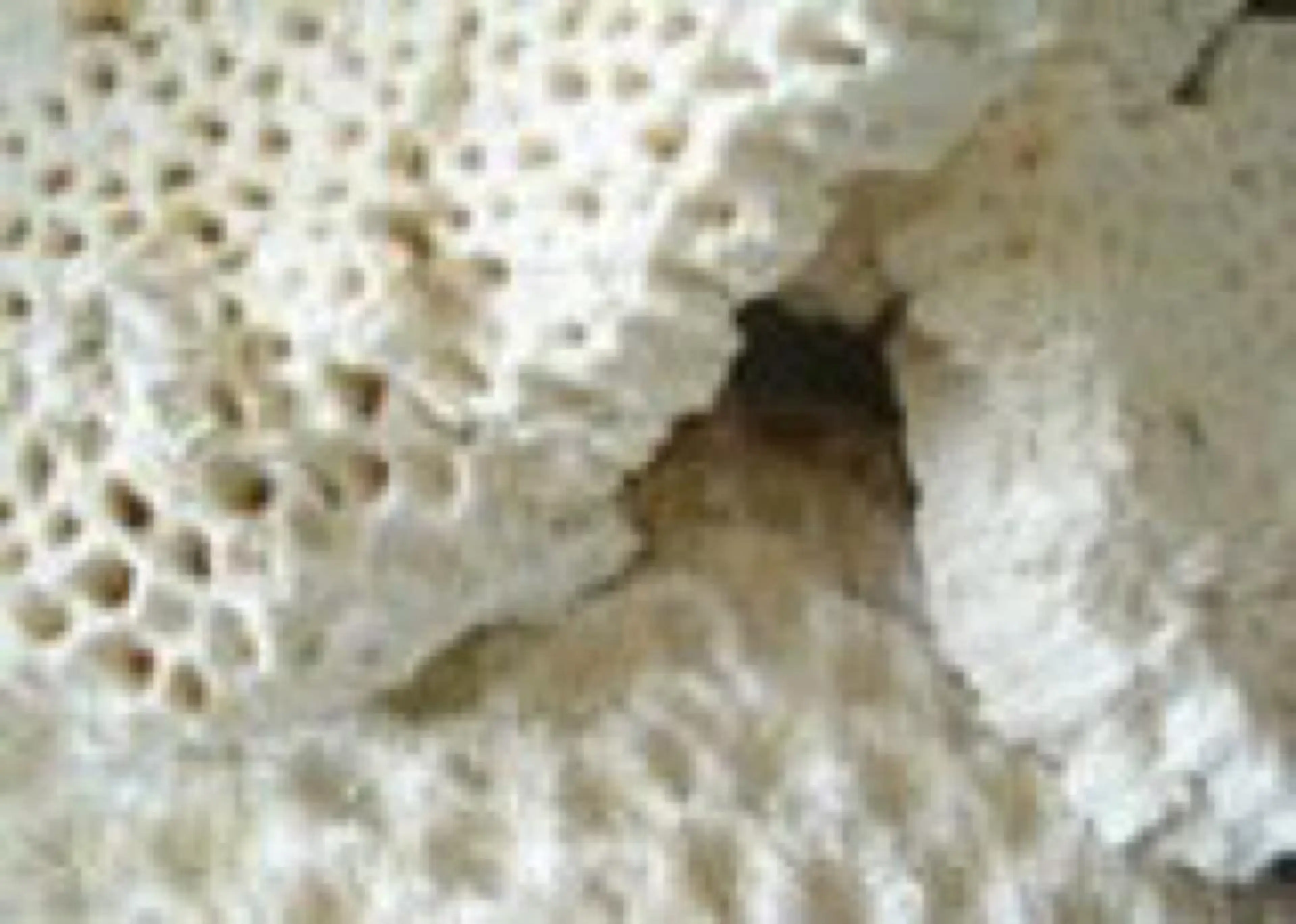 aquacort所属・アクアコート 桜川のヘアスタイル